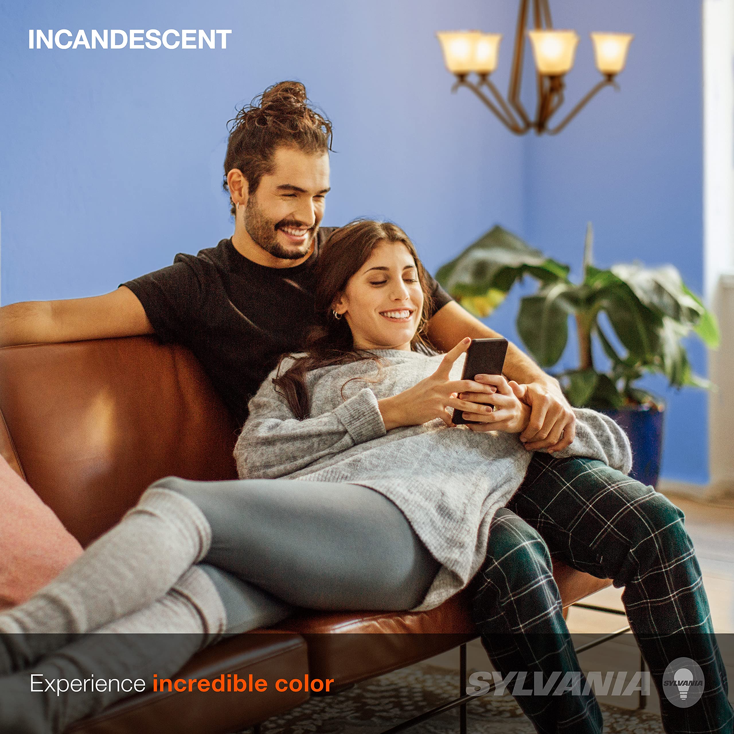 LEDVANCE SYLVANIA B10 Incandescent Light Bulb 15W Candelabra Base 65 Lumens 3000K Clear 6 Count