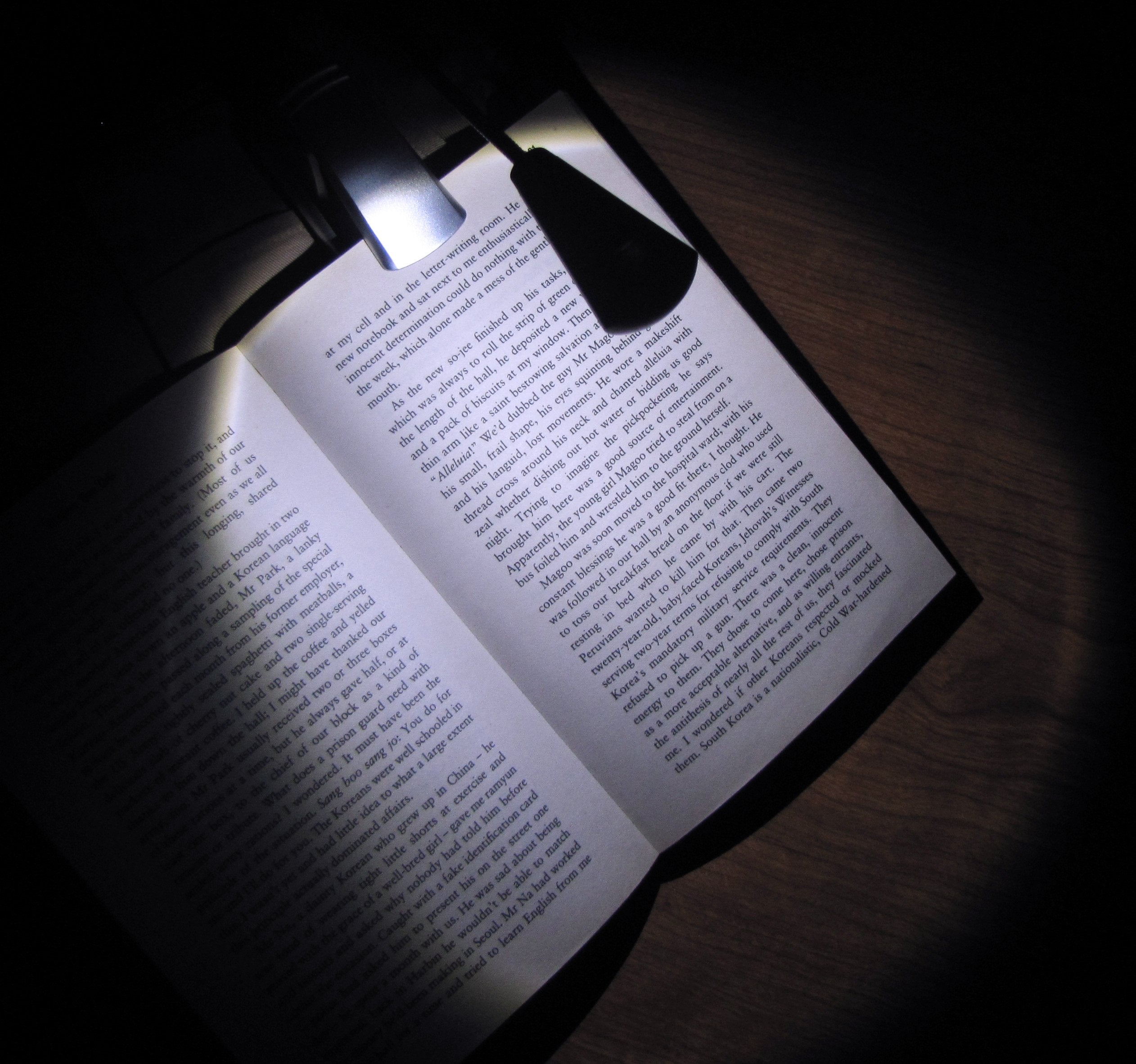 Carson Optical Flexneck Ultra Bright, Fully Adjustable Led Book Light (Fl-55)