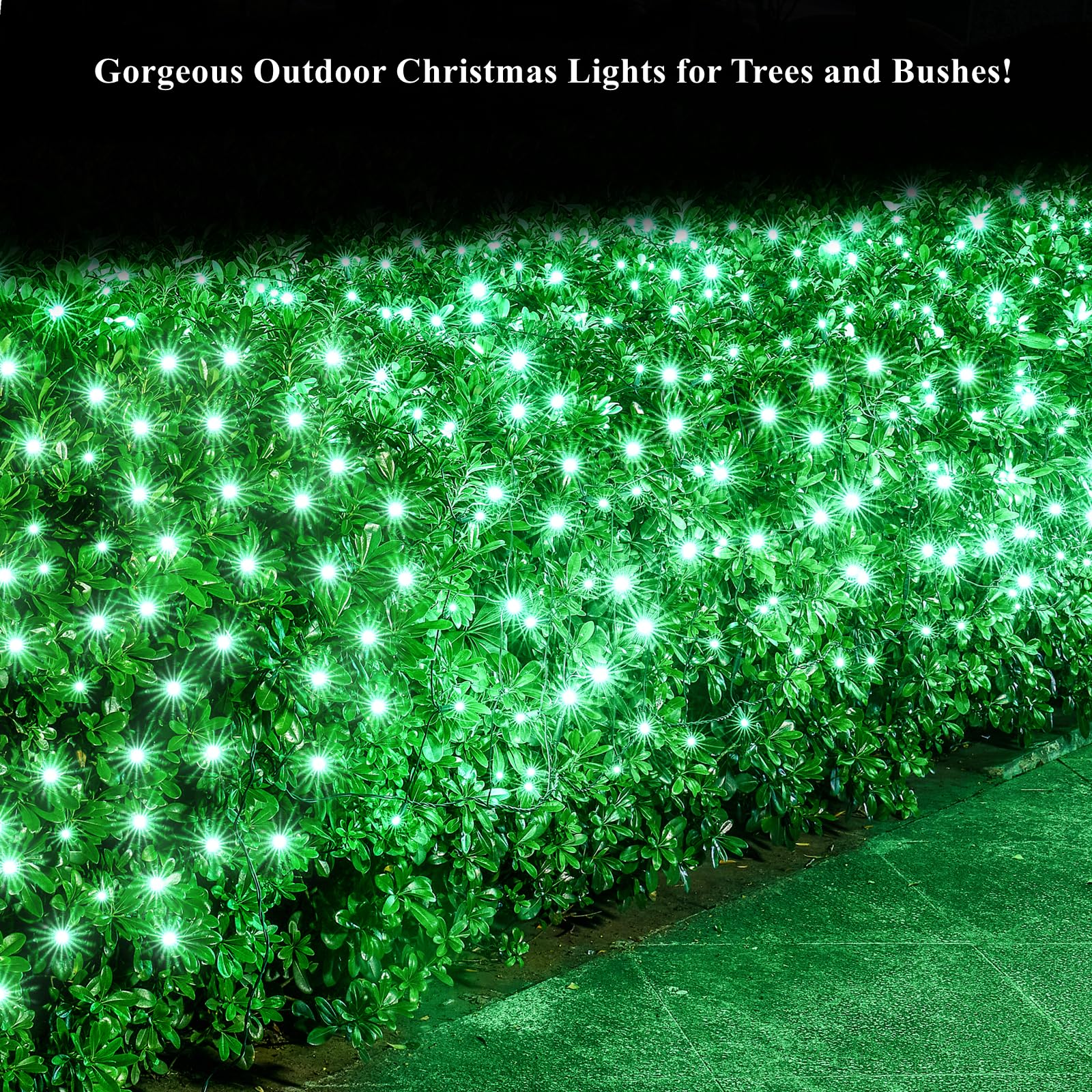 Dirnun LED Christmas Net Lights 160LED Waterproof 5ftx7ft Green Fairy Mesh for Outdoor Indoor Decorations