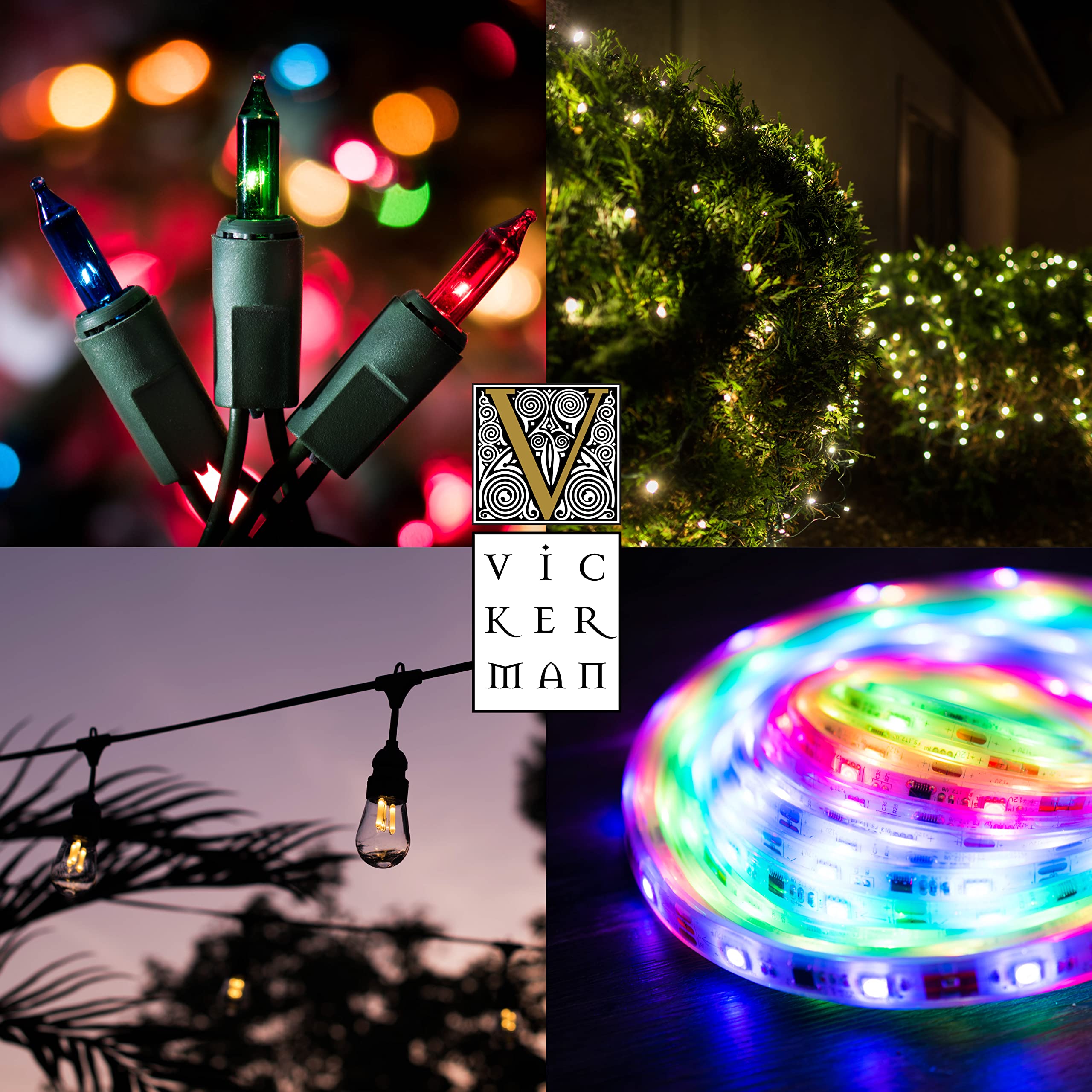 Vickerman 25 Red-Pure White Opaque-Ceramic C7 Led Light On Green Wire, 16' Christmas Single Mold Light Strand