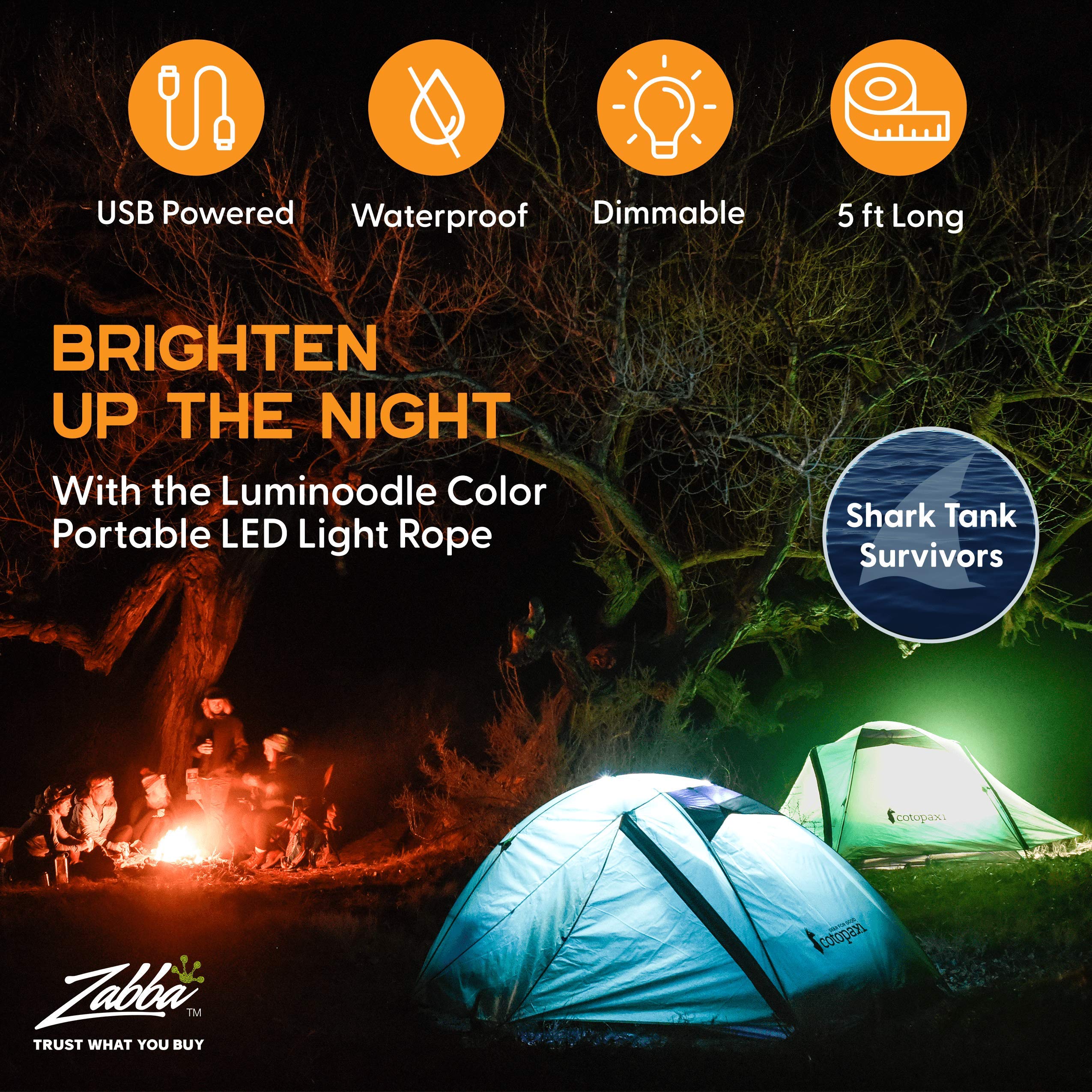 Power Practical Luminoodle Color - 5 ft Color Changing LED String Lights - Outdoor LED String + Lantern for Camping, Hiking, Saf