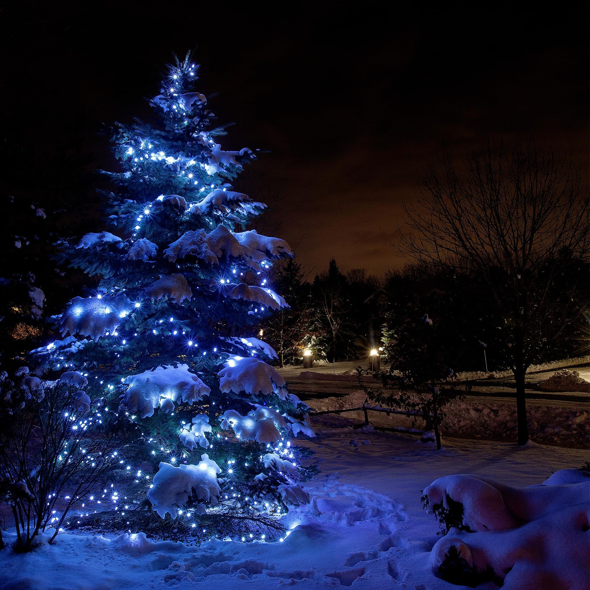 Flechllary 100 LED Christmas Lights, 39FT Cold White Indoor/Outdoor String Lights with 8 Modes, Timer, Waterproof, Model TZWG