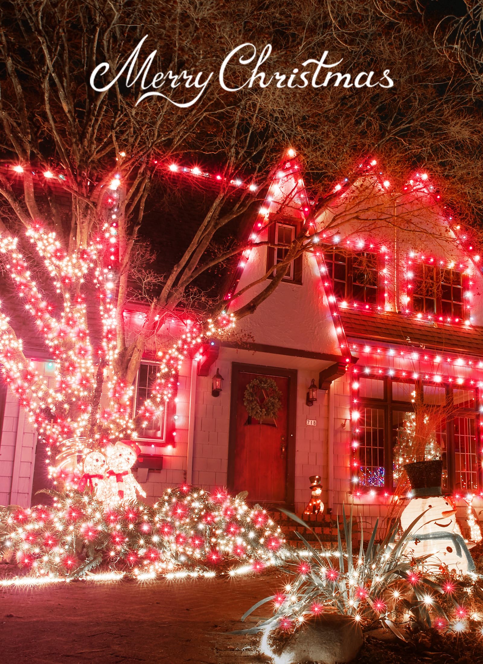 Minetom Christmas String Lights, 50 LED, 17FT, Battery Operated, Waterproof, Red & Pure White