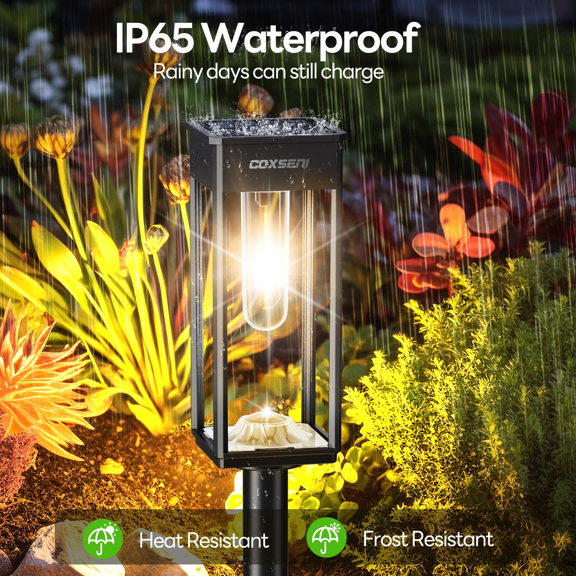 COXSENI Solar Pathway Lights 8 Pack - Waterproof IP65, 40LM Bright Warm White Outdoor Lighting for Garden, Yard, Driveway