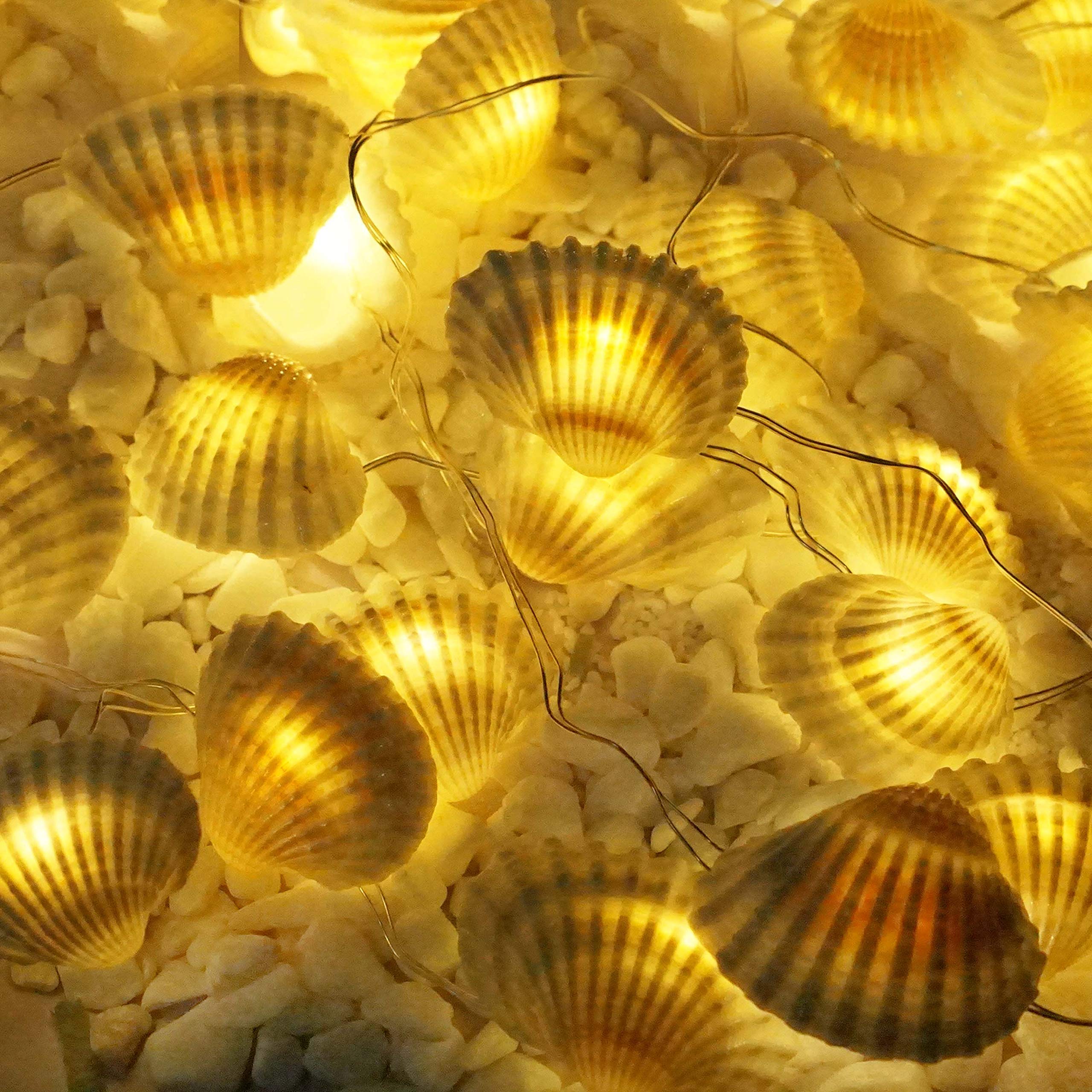 Decorman Natural Seashell String Lights 13.2Ft 40 Led 8 Modes Warm White Weatherproof Battery Operated Ocean Theme Lights For Bedrooms Parties Weddings Gardens With Remote And Timer (Natural Shell)
