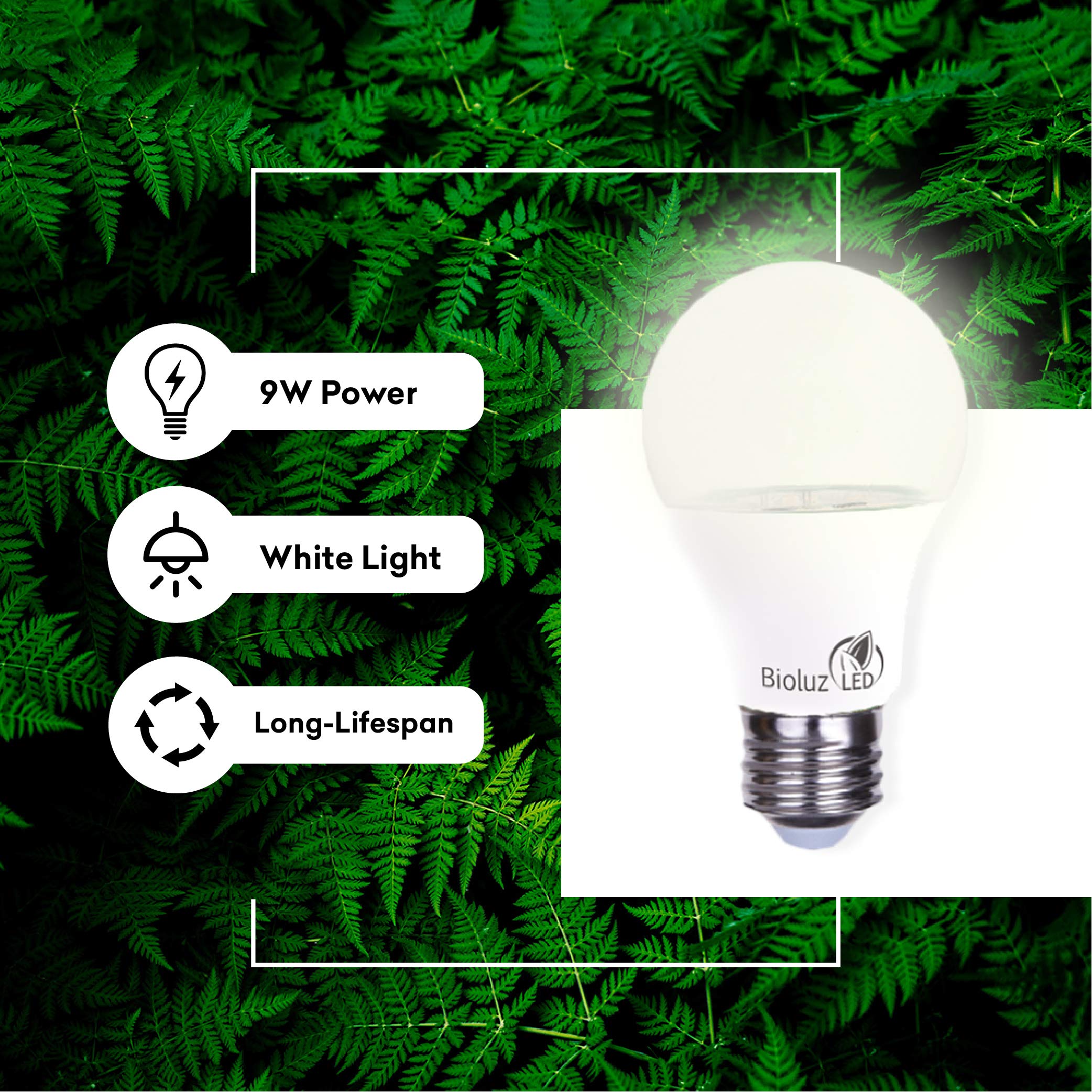 Bioluz LED Grow Light Bulbs A19 3000K Soft White - 3 Pack for Indoor Plants