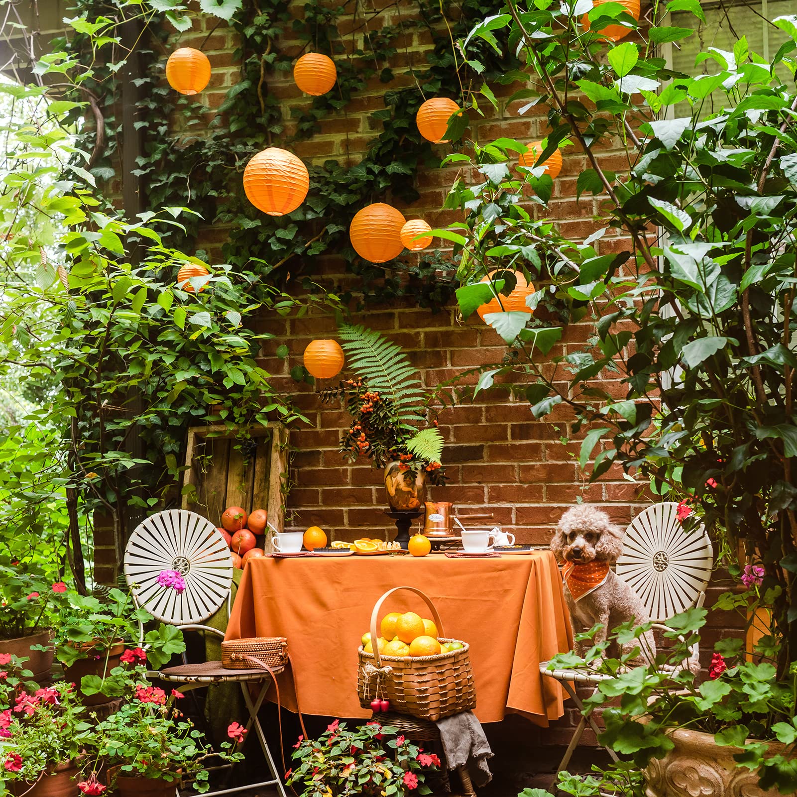 Orange Paper Lanterns - 25 Piece Set - Party Decorations For Birthdays, Weddings And Special Occasions By Avoseta