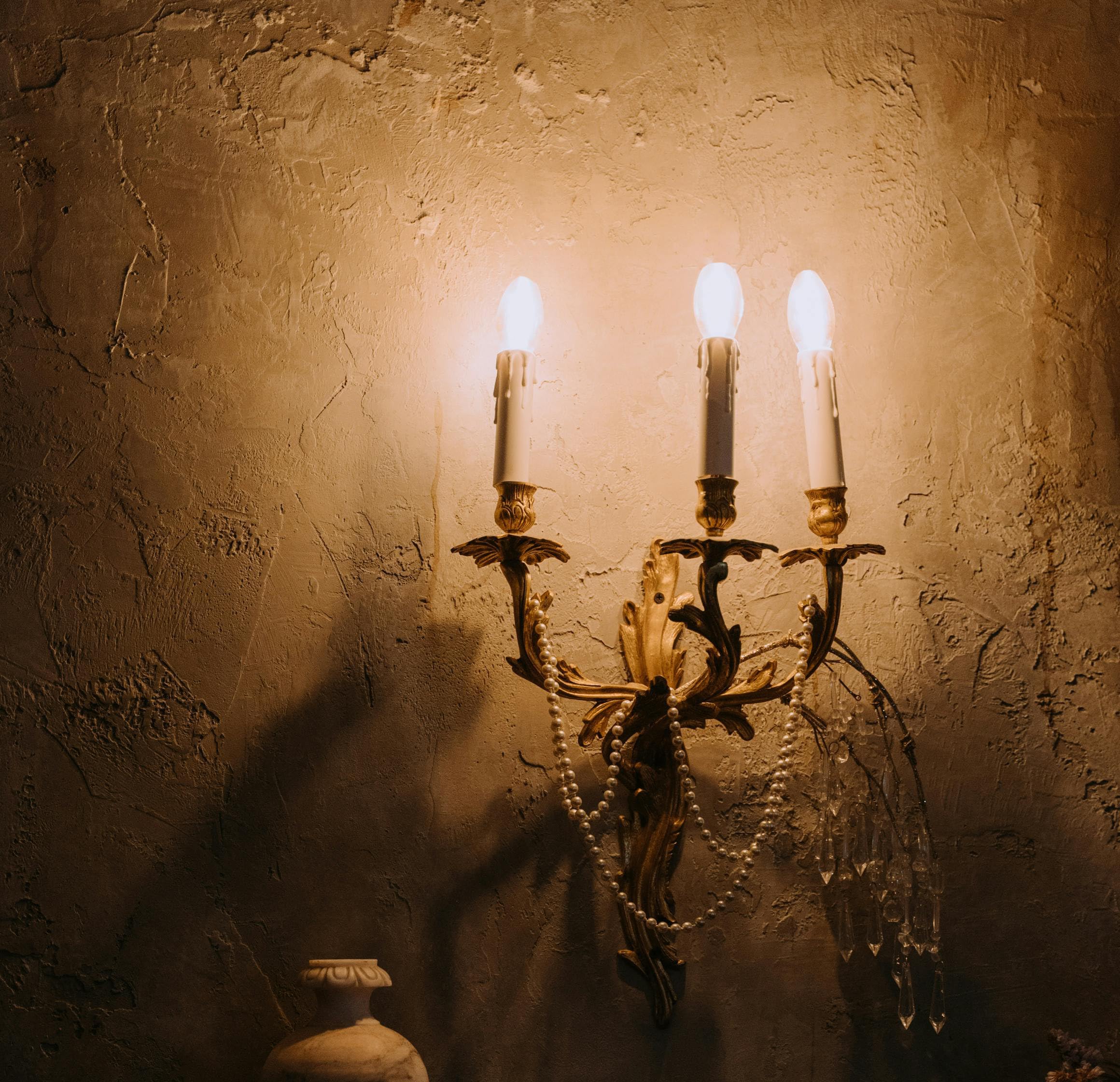 Iconikal 5-Watt C7 Night Light Candelabra Bulbs, Clear, 24-Count For Lamps Nightlights Lanterns String Lights