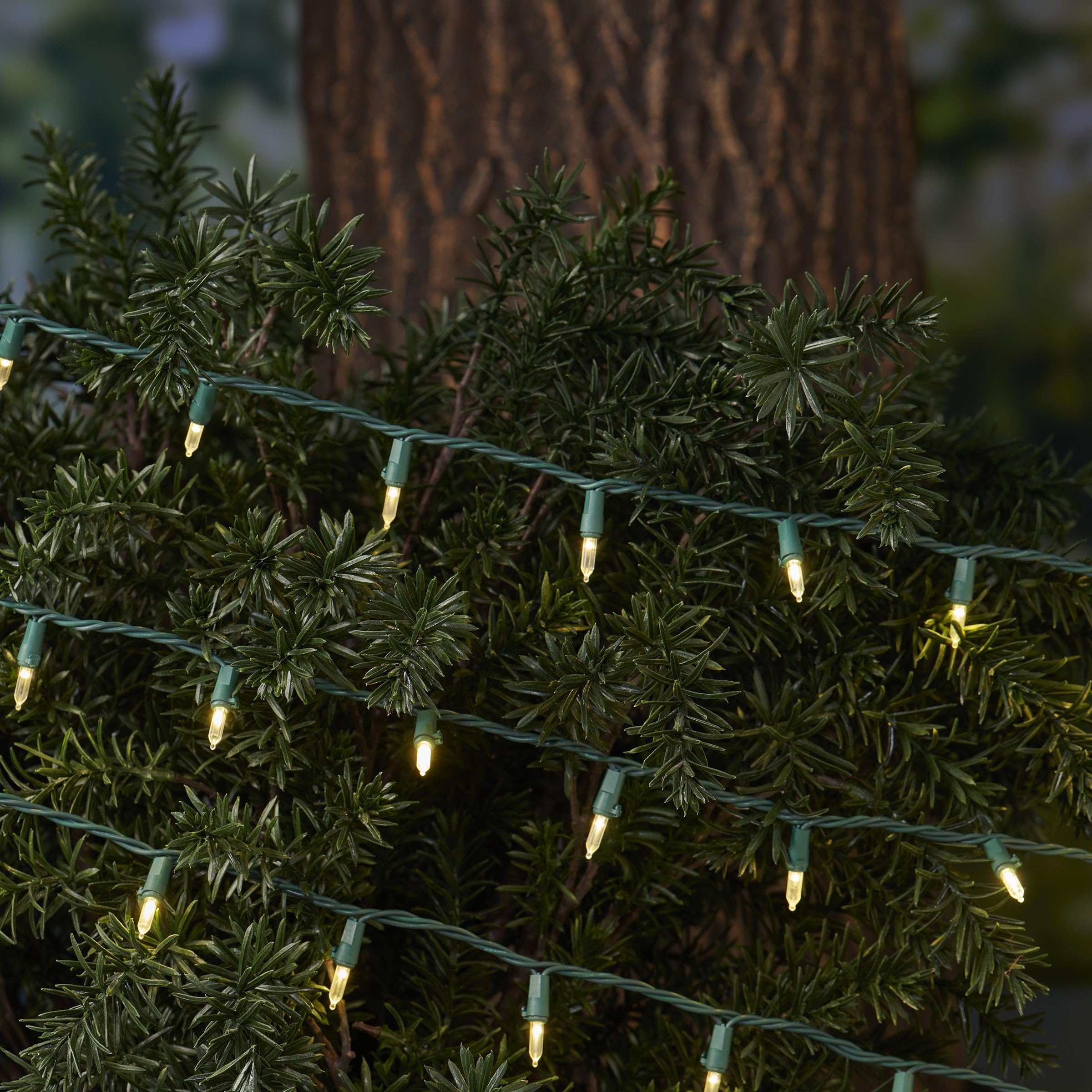 SYLVANIA LED Mini Christmas Lights, Warm White, 450 Ct, Model V40770-34