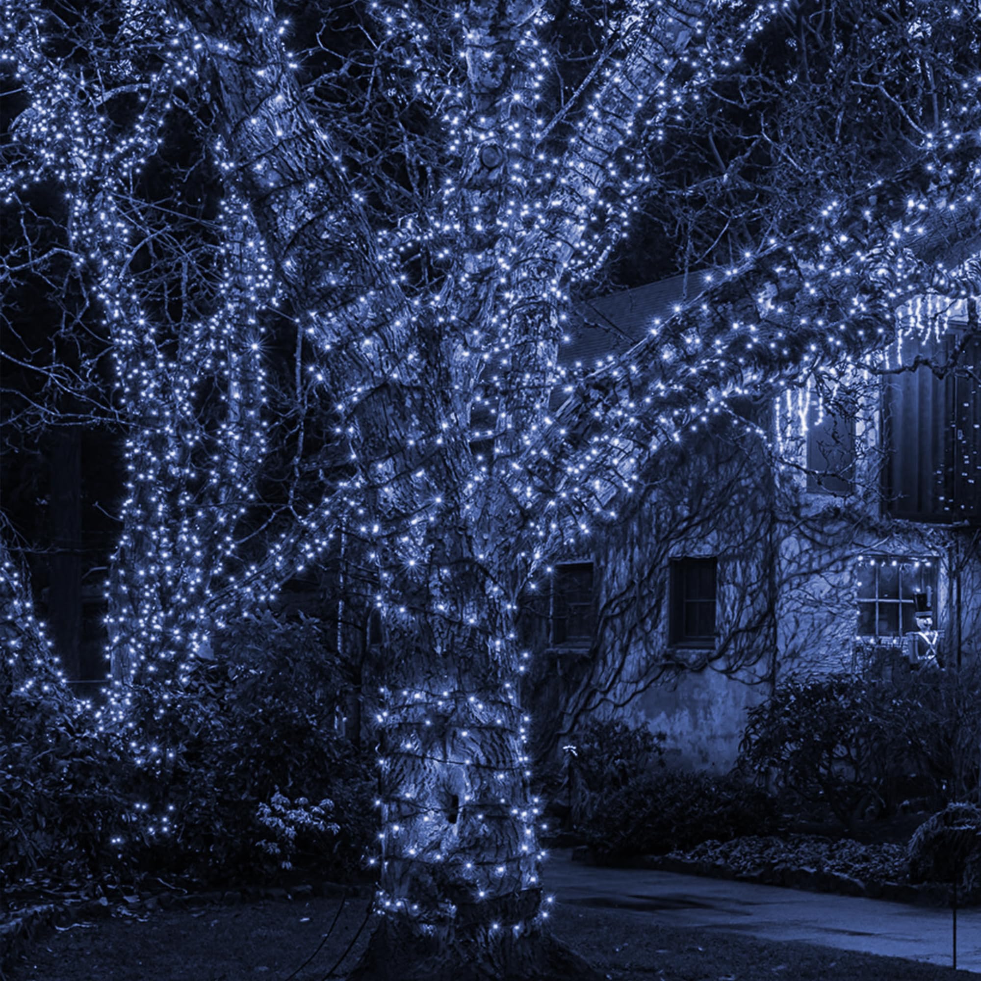 TW SHINE Christmas String Lights, 1000 LED, 328FT, 8 Modes, Remote, Waterproof, White, Model HB-500CO