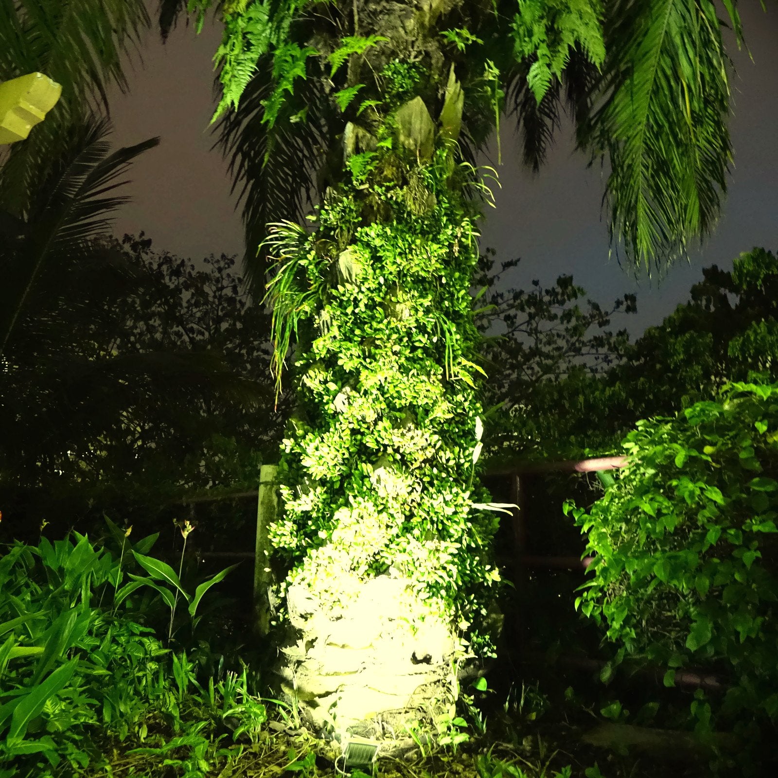 Solar Light Mart Alpha 180X Flag Pole Light - Warm White LED, Cast Iron Style, Fits 2.5" Poles, Aluminum, White