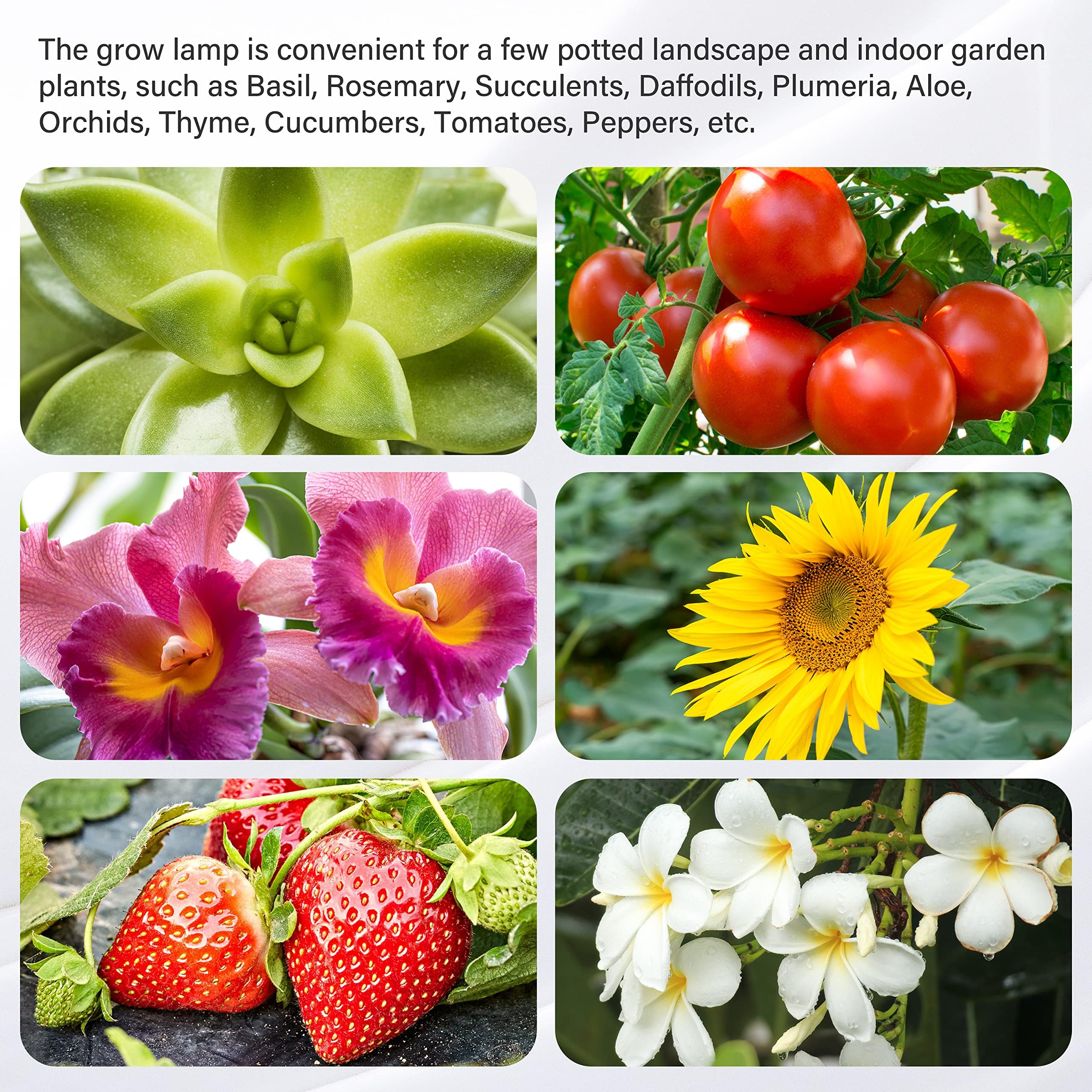 Ipower 20W Led Plant Grow Light Strips Full Spectrum For Indoor Plants With Auto On/Off 3/9/12H Timer  10 Dimmable Levels 48 Leds Per Light Strip  2 Tubes