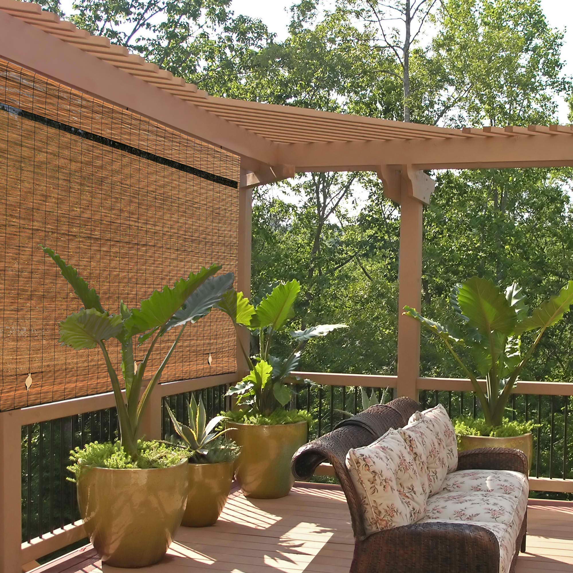 Radiance Bamboo Shades - Imperial Matchstick Light Filtering Blinds - 36inW x 72inH - Brown - Model 1108117
