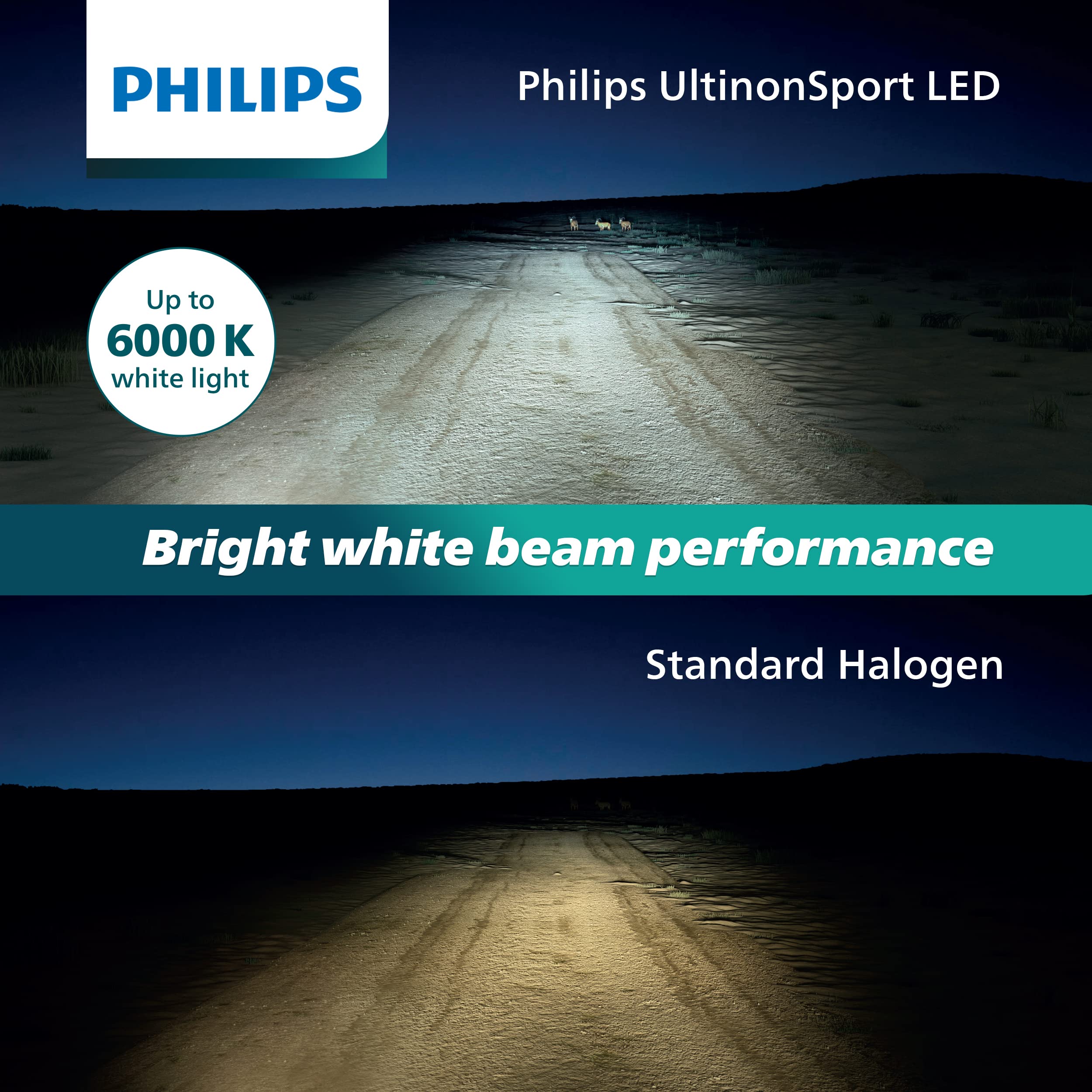 Philips UltinonSport H8/H16 LED Fog Light and Headlight Bulbs, 2 Pack