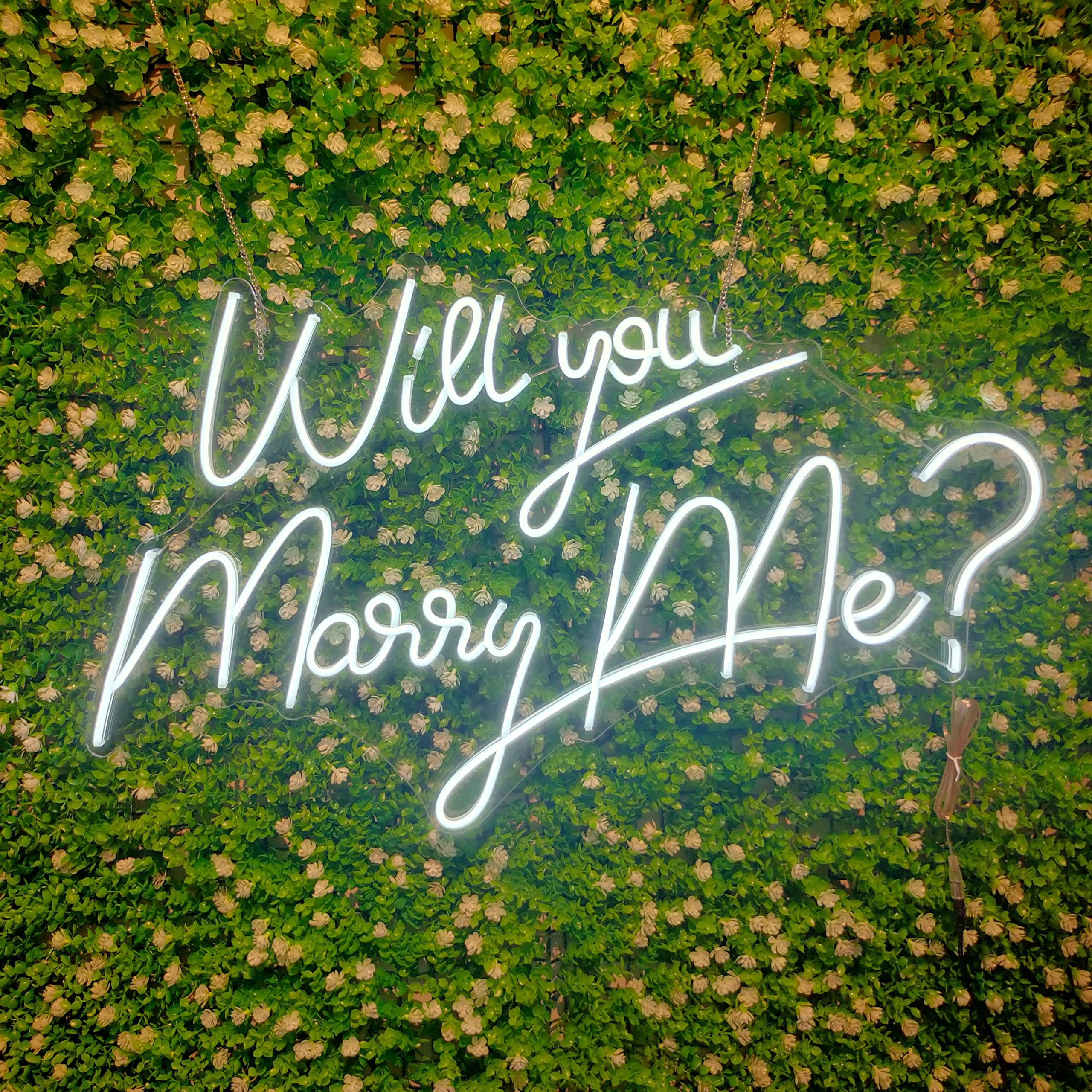 GENDAGAN Neon Sign Will You Marry Me? 12V Wedding Decor with Dimmer Switch, 21.65in Cool White, Silicone Material, 20 x 0.78 x