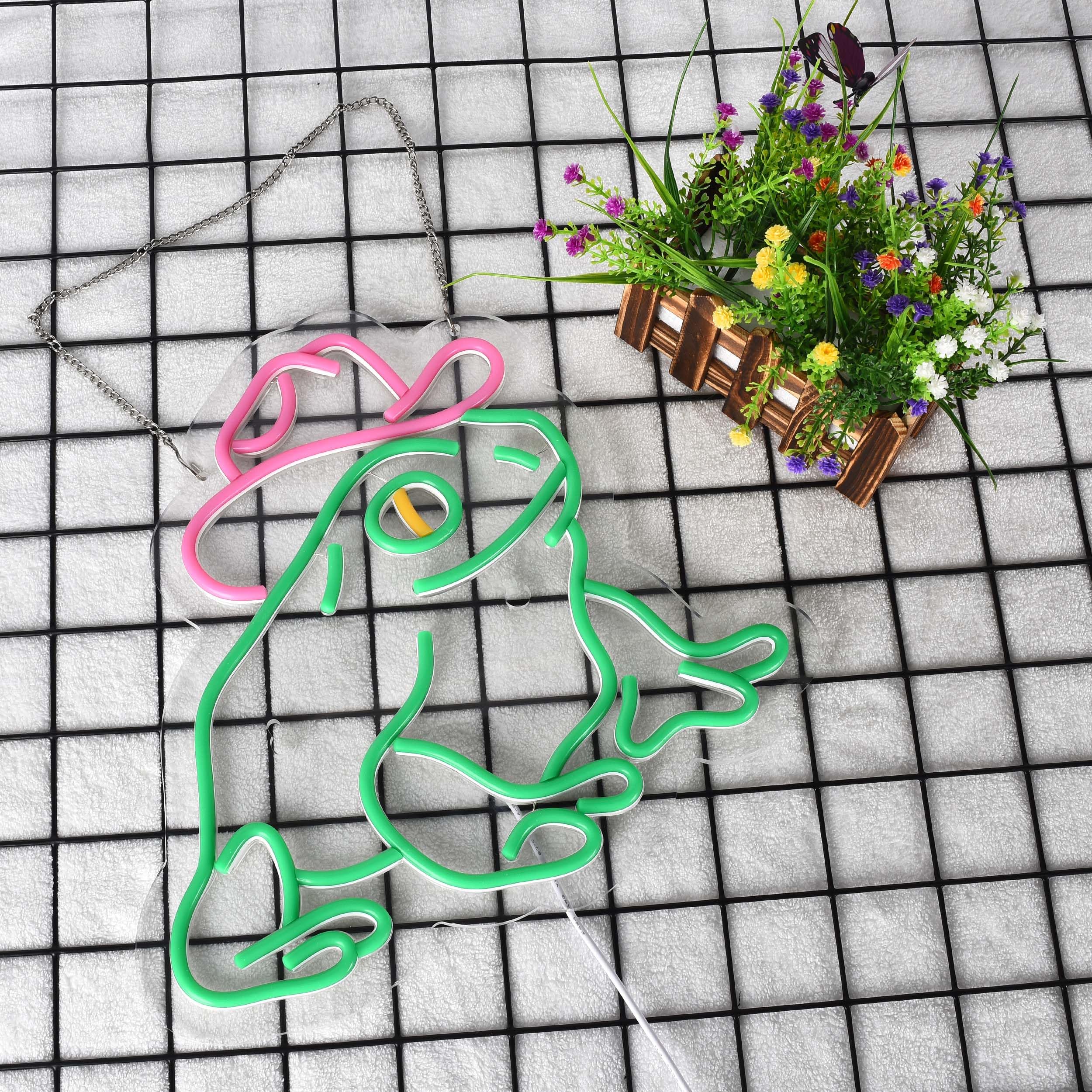 Haimococl Neon Sign Frog LED Light Wall Decor Dimmable USB Powered Green+Pink