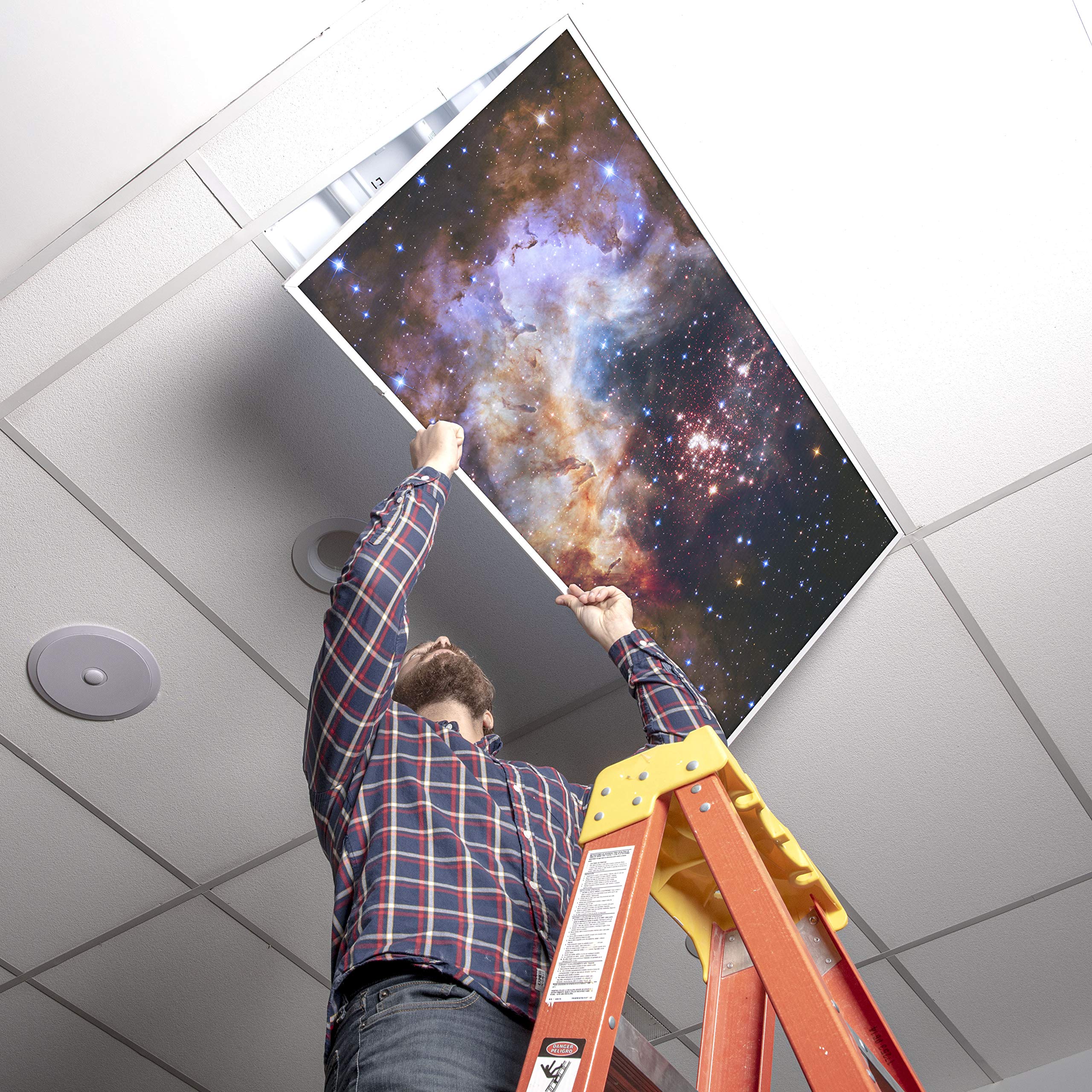 OCTO LIGHTS Fluorescent Light Cover Backlit Film Insert 2x4 (22.38inx46.5in) Westerlund 2 Star Cluster Model 018