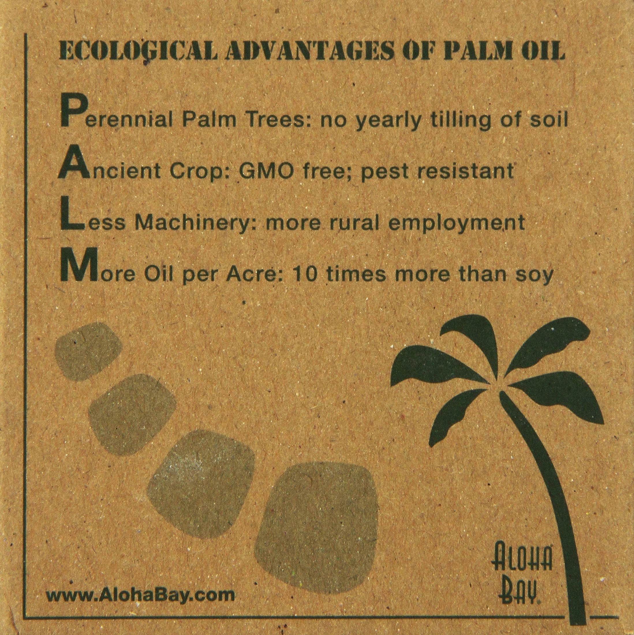 Aloha Bay Palm Wax Tea Lights with Aluminum Holder, 12 Count, Model 486, Cream Color