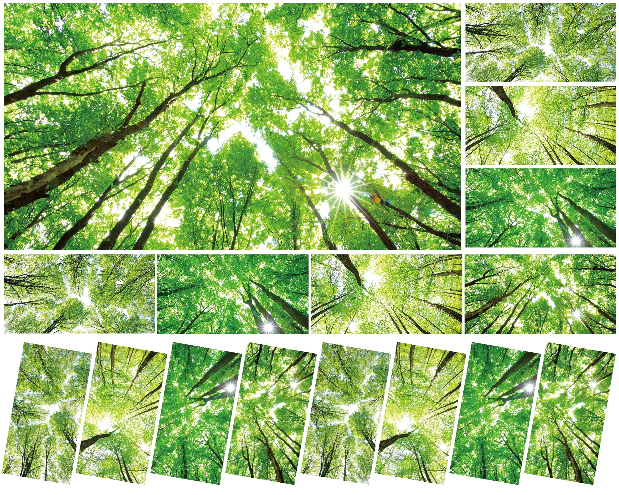 Wiooffen 8 Pcs Fluorescent Light Covers, Magnetic Installation, 4x2 Feet, Polyester, Forest Green, Model YM0847