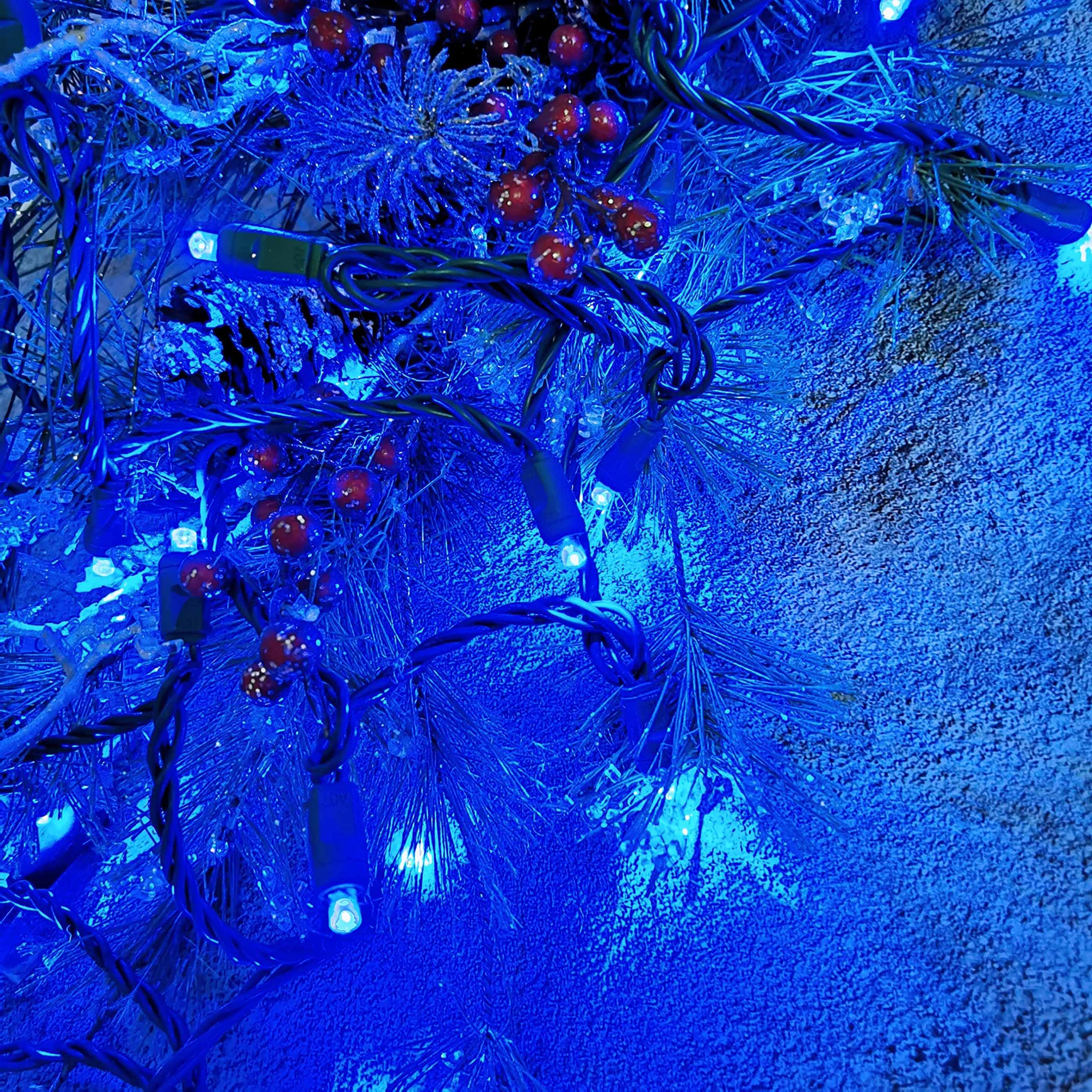Yirunfa Christmas String Lights, 50 Blue LED, 17ft Green Wire, Indoor/Outdoor Use, Model DL5-50-02-B