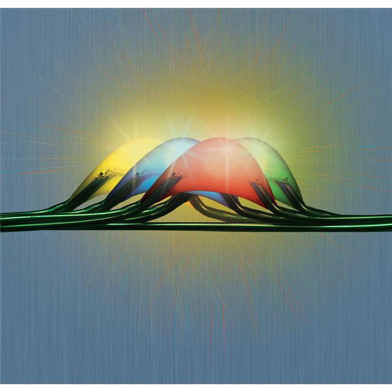 celebrations 9438888 165 ft Micro Dot Wire Light Set  Multicolored - 100 Lights- pack of 12