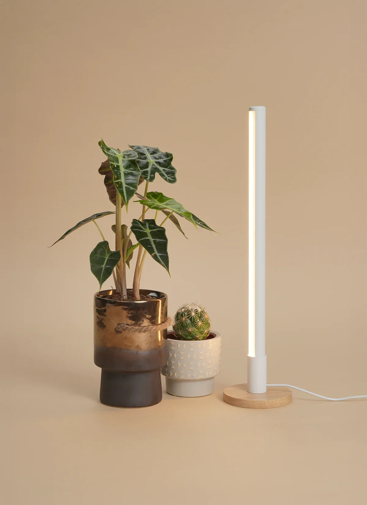 Grove™ Grow Light with Alta™ Vertical Stand Set