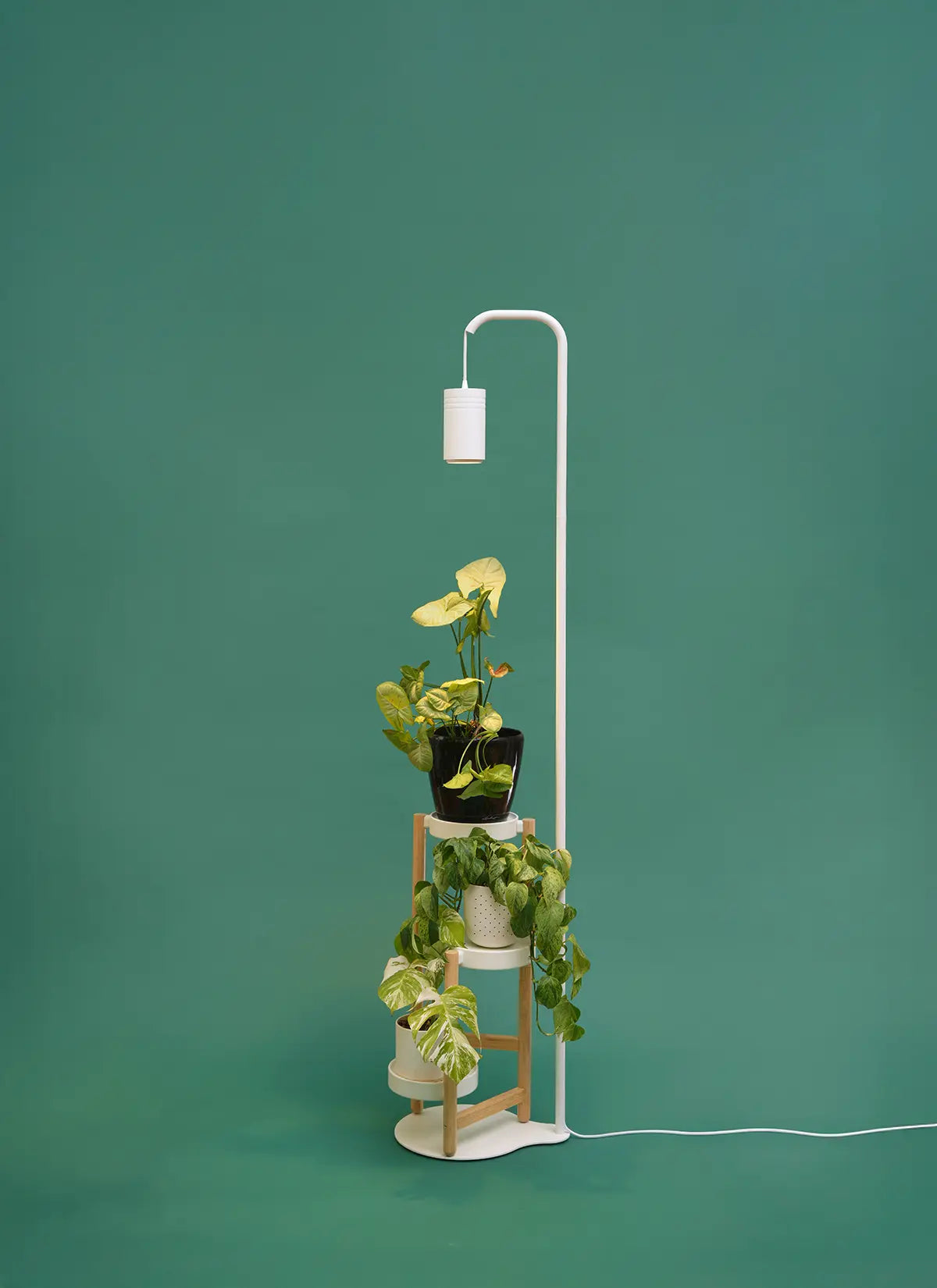 Aspect™ Grow Light with Stello™ Pendant Stand Set