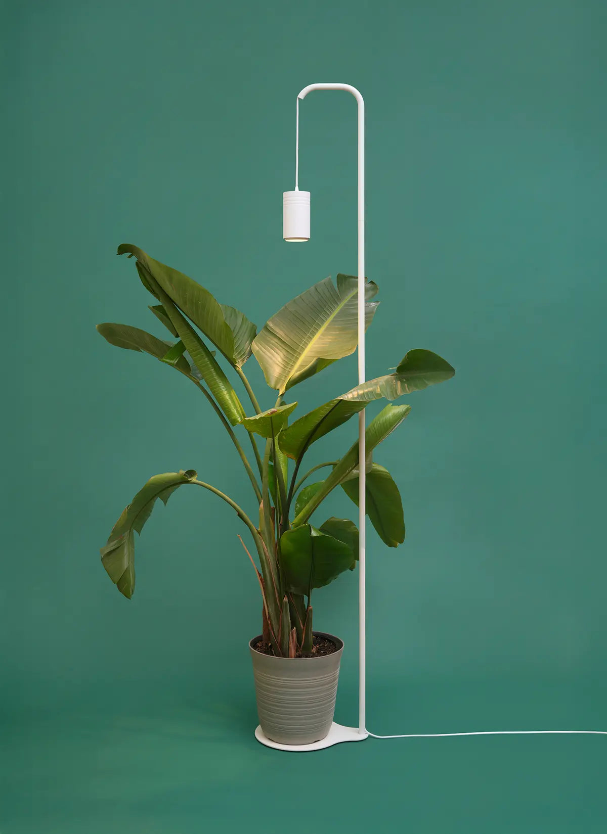 Aspect™ Grow Light with Stello™ Pendant Stand Set