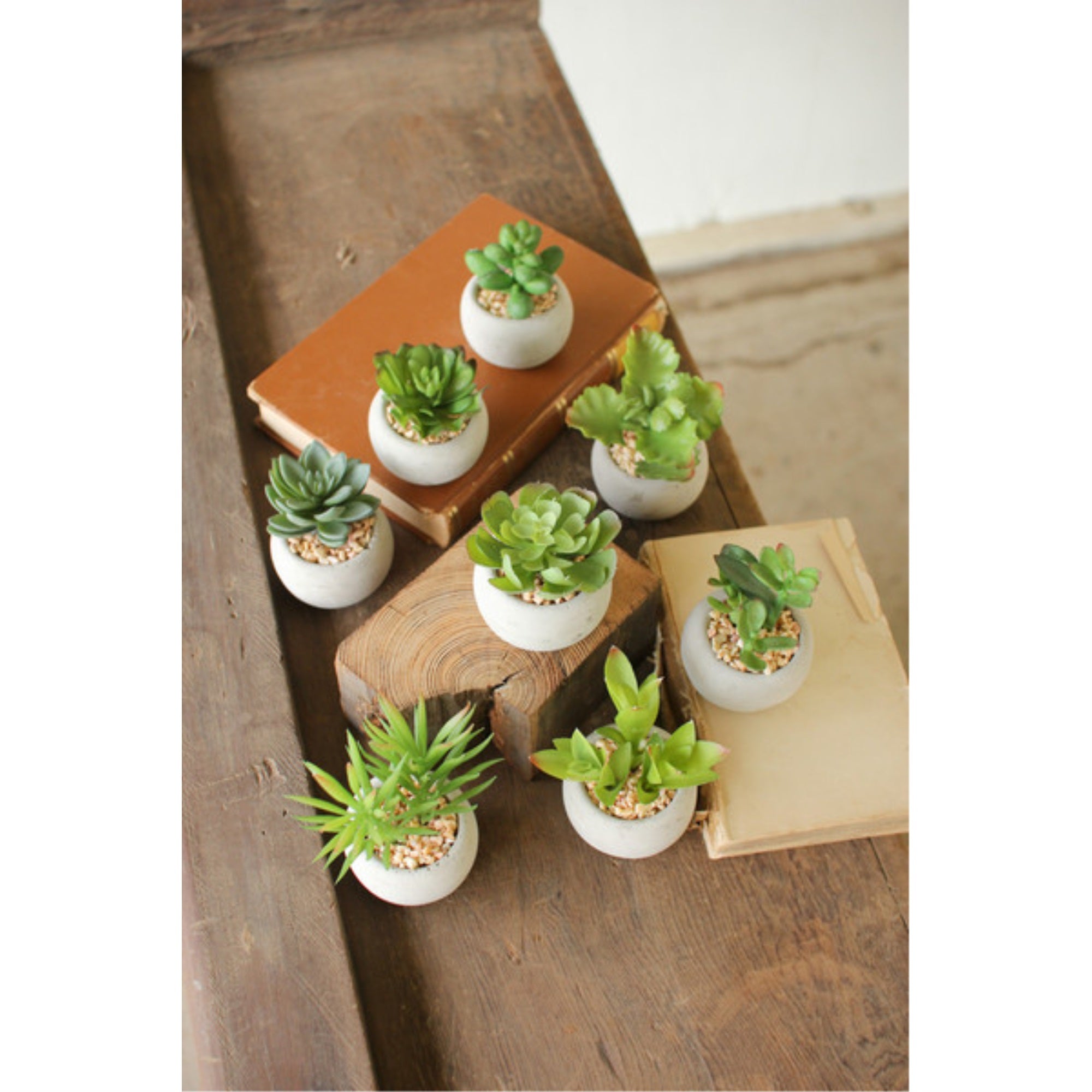 Kalalou Cnl1080 Set Of Eight Succulents, Green