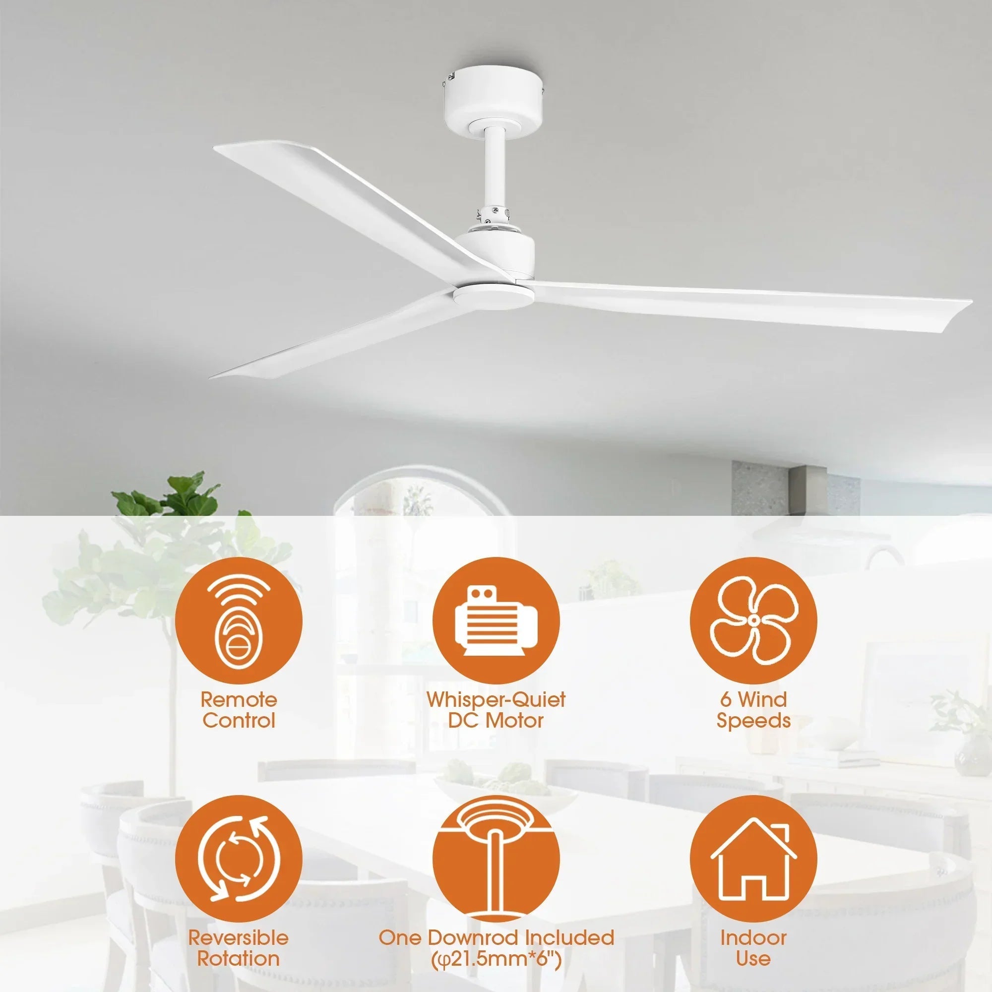 50 Inch Erica Modern Downrod Mount Ceiling Fan with Remote Control