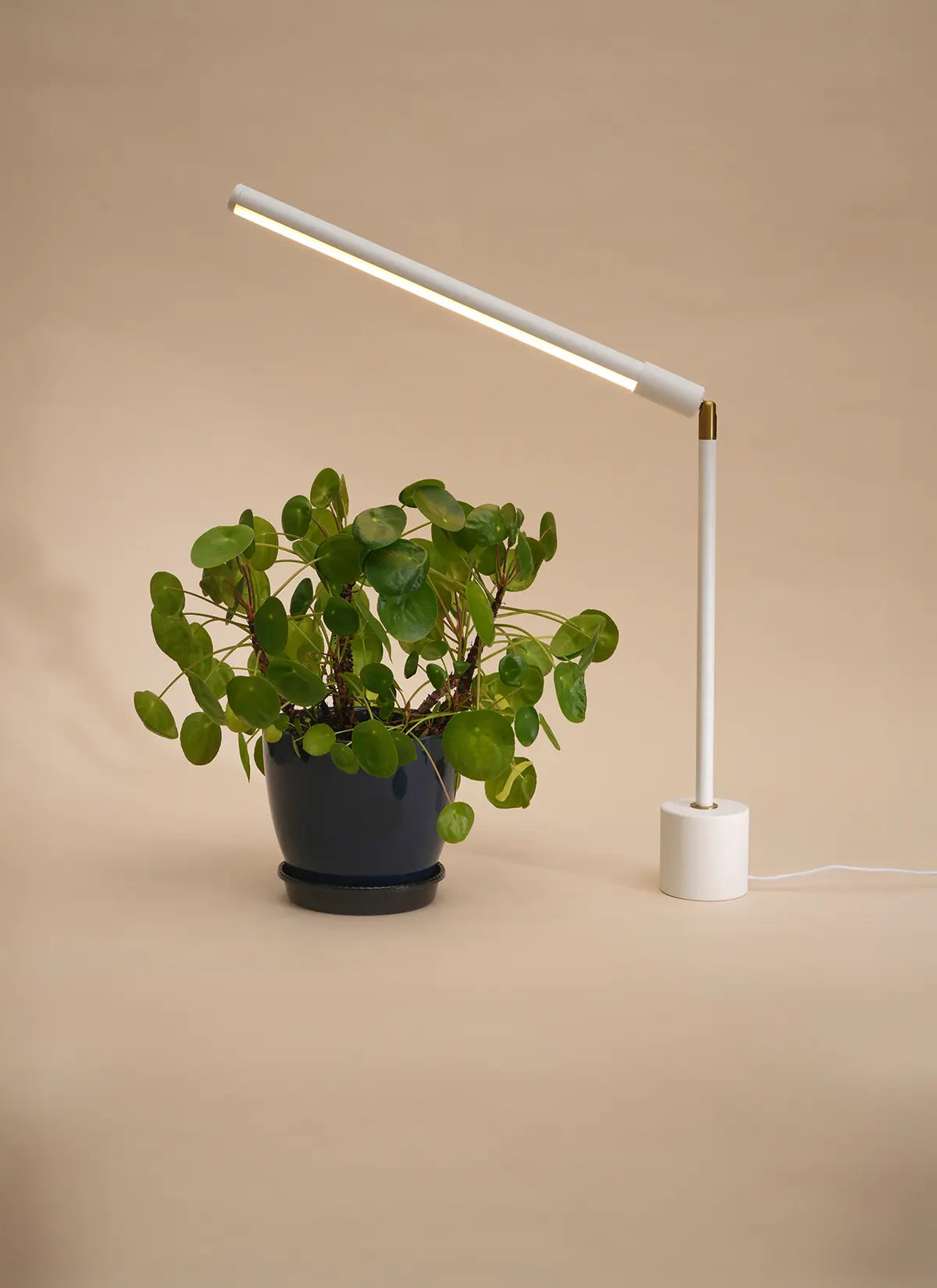 Versa™ Tabletop Grow Light