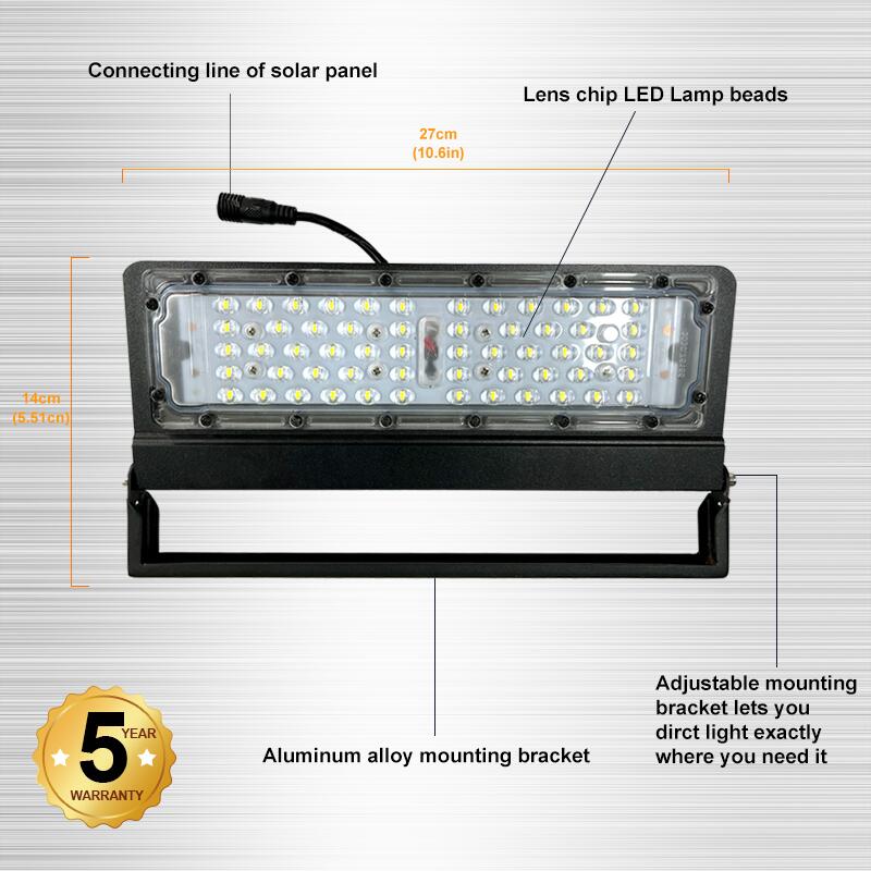 Outdoor Energy‑Independent Solar Lighting System – BICSSL‑05PN Series | No Power Required