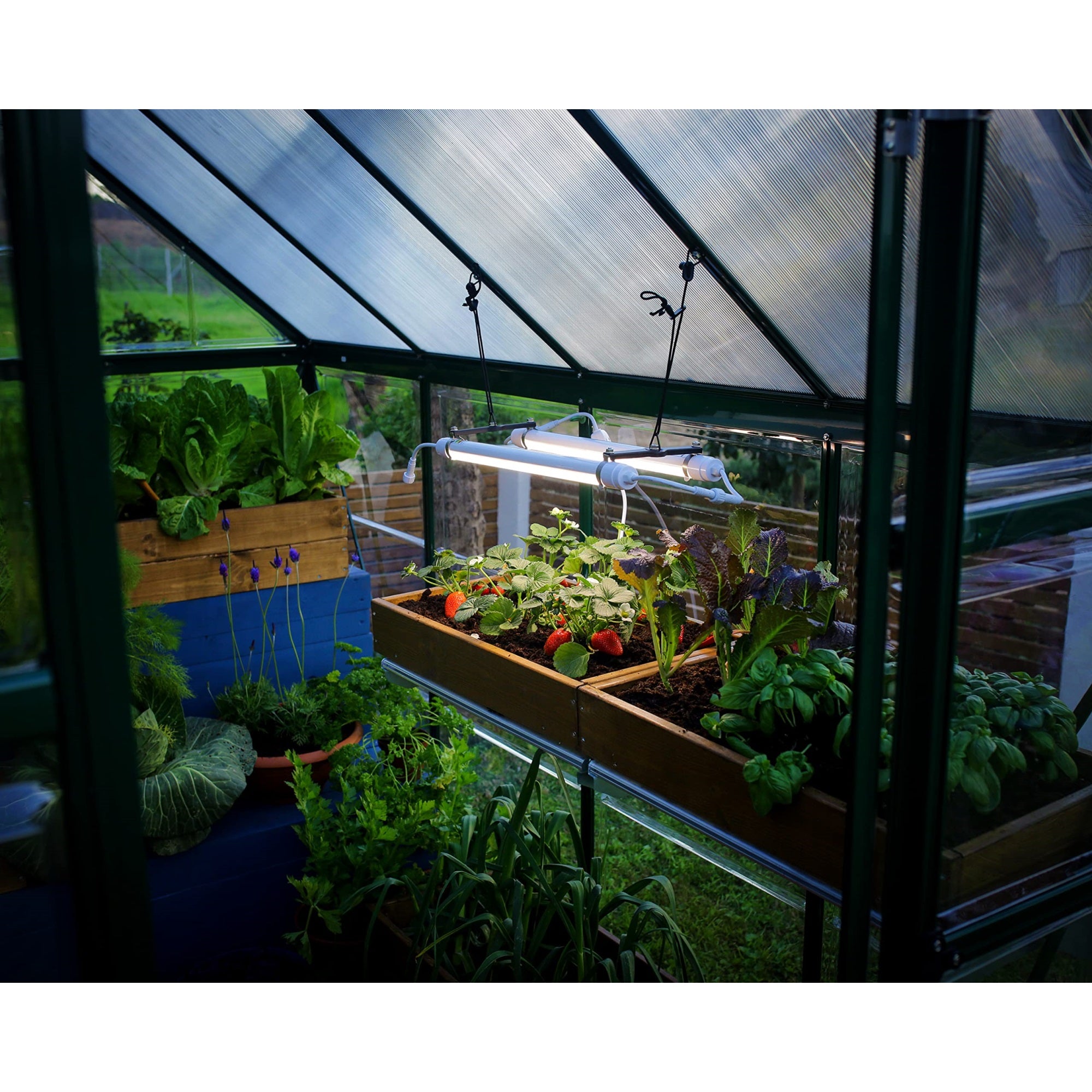 Palram - Canopia Greenhouses Led Grow Light For Plants, Vegetables, Fruits, Flowers, Growth Plant Light