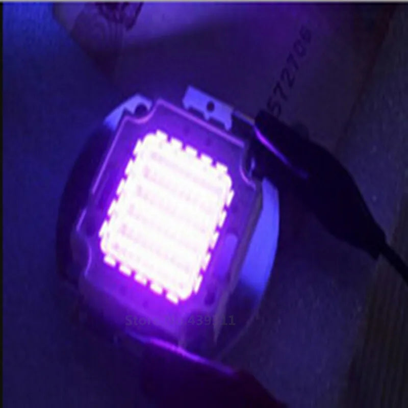 10W UV LED CHIP lamp fishing LED COB manicuring purple Bead 395-400nm 900mA 9.0-11.0V 60-80LM 45mil 10PCS
