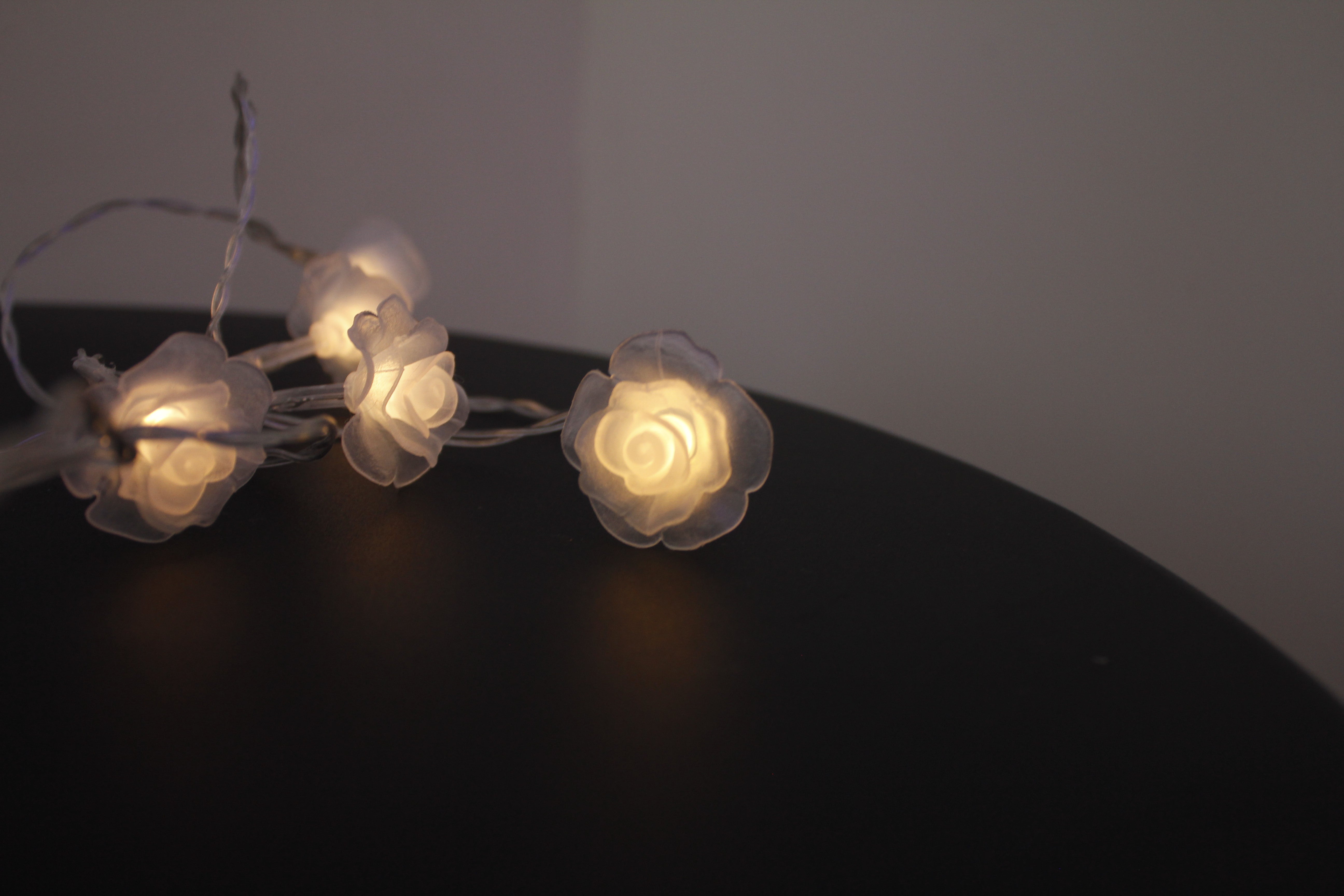 20 LED Lights Battery Operated with PVC Clear Rose - Warm White