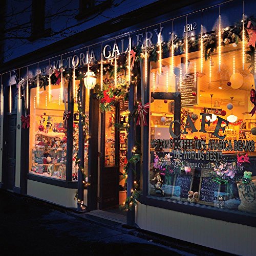 Indoor/Outdoor Snowfall Lights