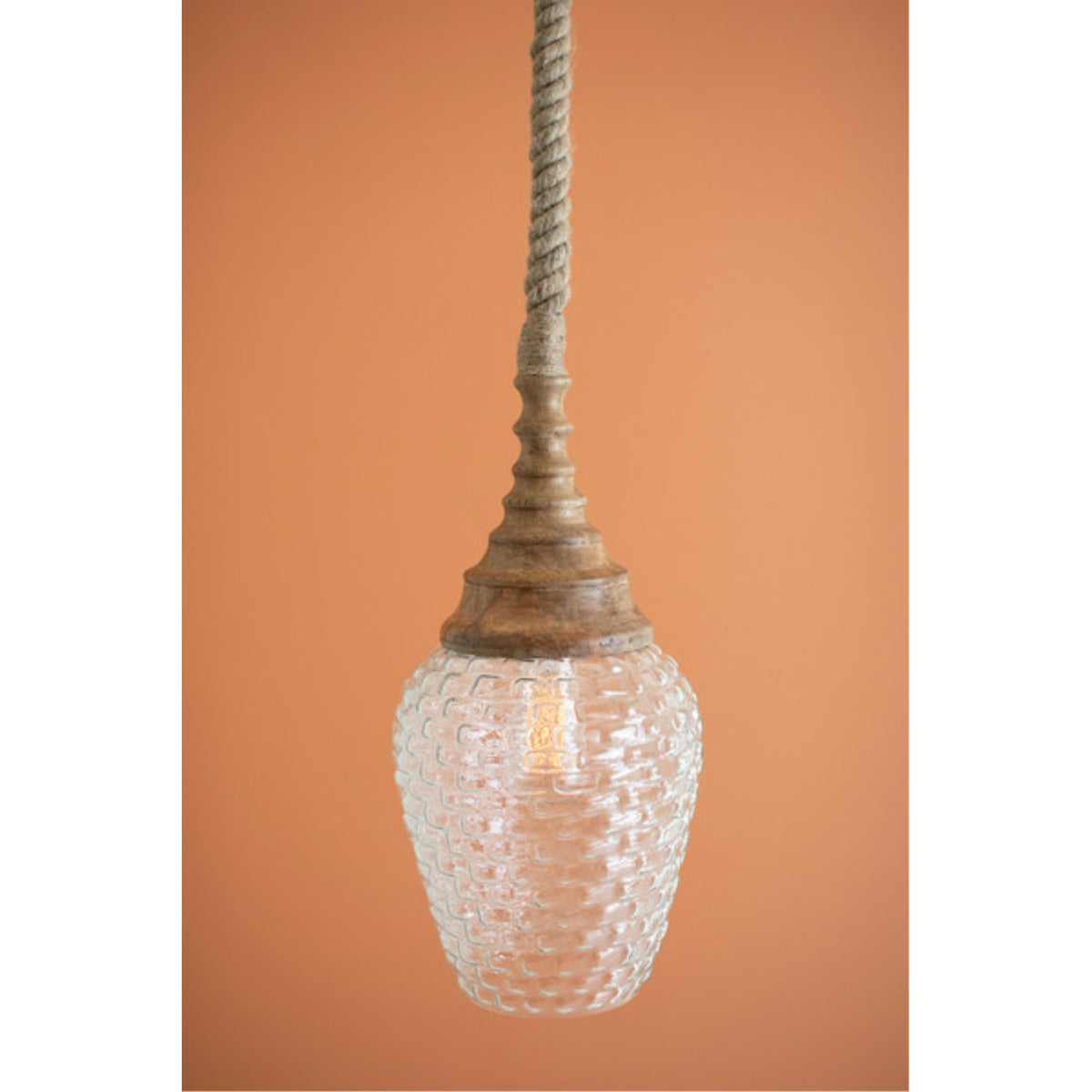 CLEAR GLASS AND MANGO WOOD PENDANT LIGHT WITH ROPE