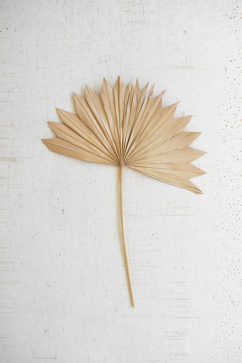KALALOU Palm Spear, Metal, 25x16 inches, Natural, Model NSBE1016