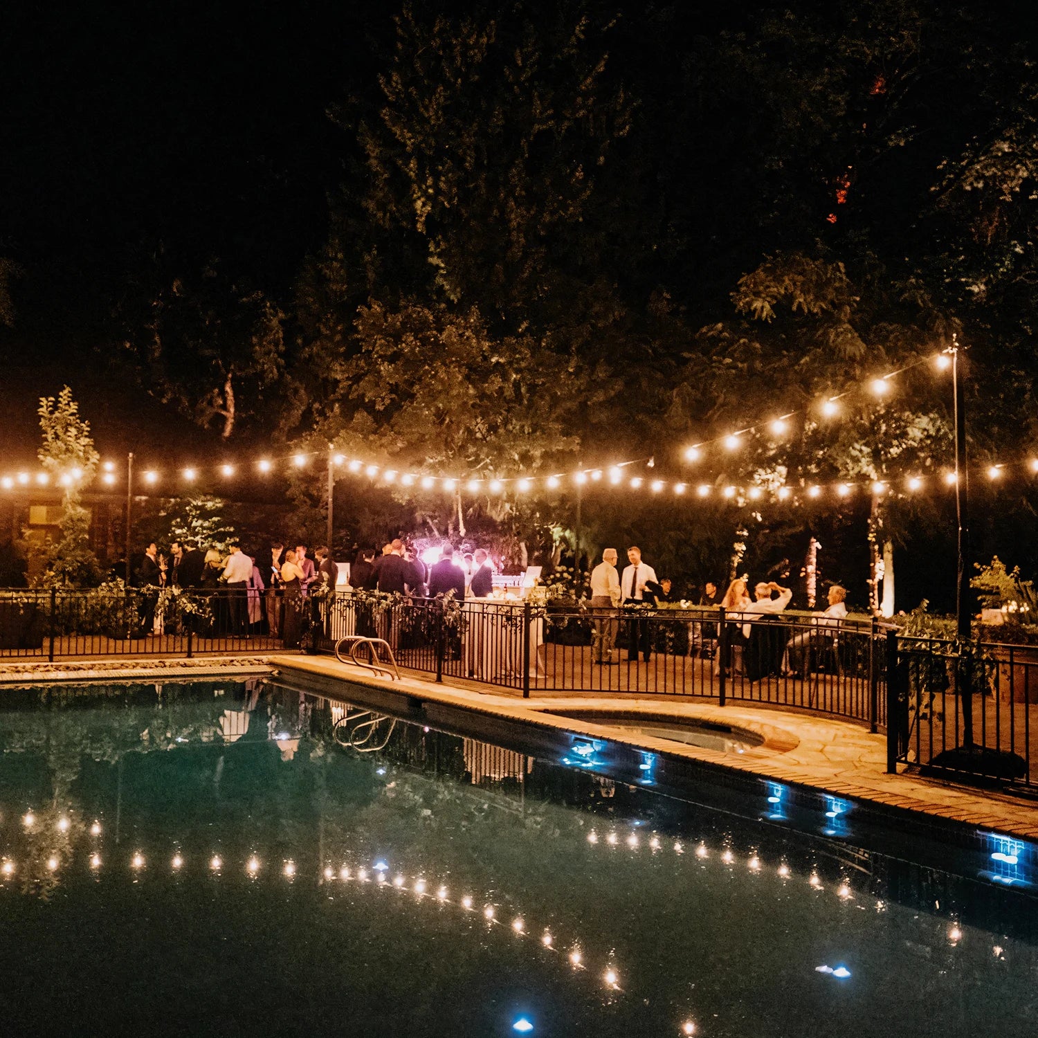 50FT ST38 LED Globe String Lights, 12 Bulbs 2700K Warm White, E12 High Voltage, Black Cable with Hooks & Replaceable Line