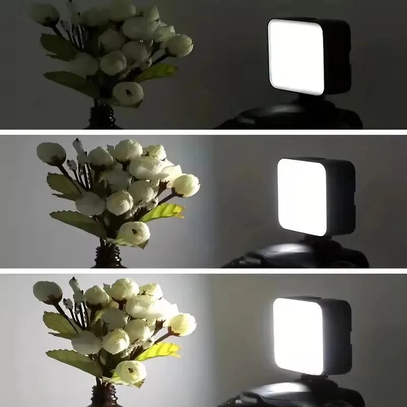 Professional Clip On Phone Ring Light with 10 Brightness Levels USB Rechargeable Portable Selfie Fill Light for Live Streaming