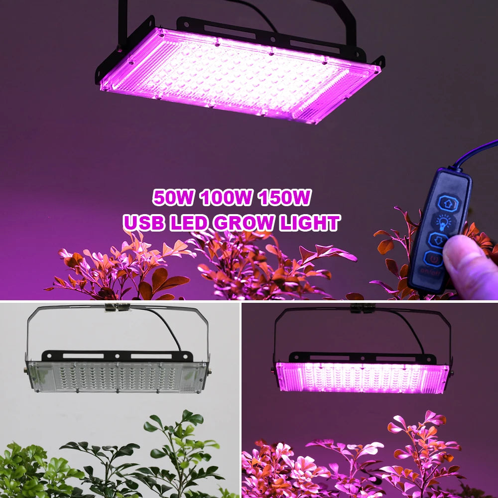 50W 100W 150W LED Grow Light 220V Outdoor LED Floodlight Full Spectrum LED Plant Growth Lamp LED Spotlight Projector Streetlight