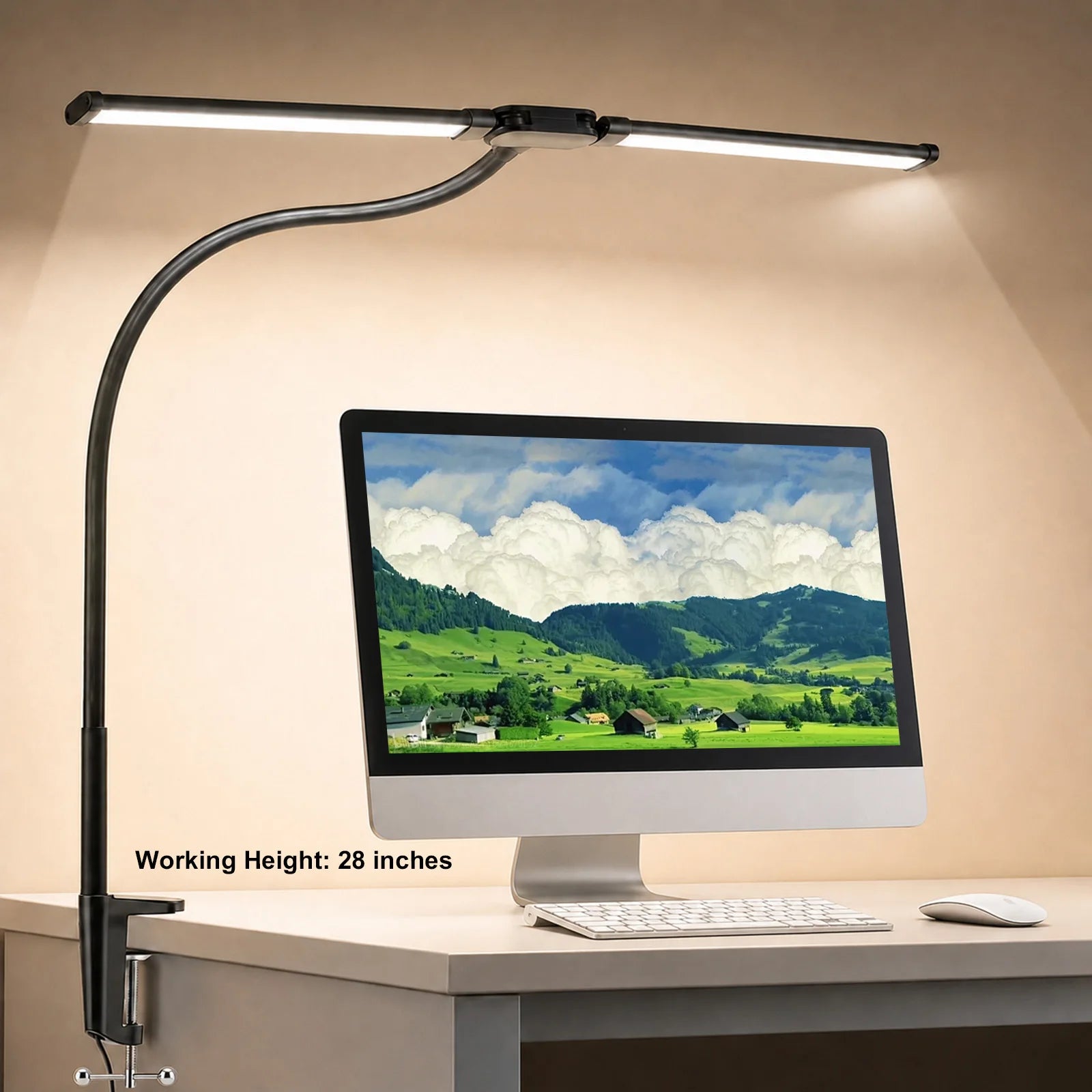 Double Head Desk Lamp LED Clip-on 3 Modes Brightness Adjustable 3000K-6000K USB Adapter Computer Screen Light 180 Degree Foldable for Reading Studying Office