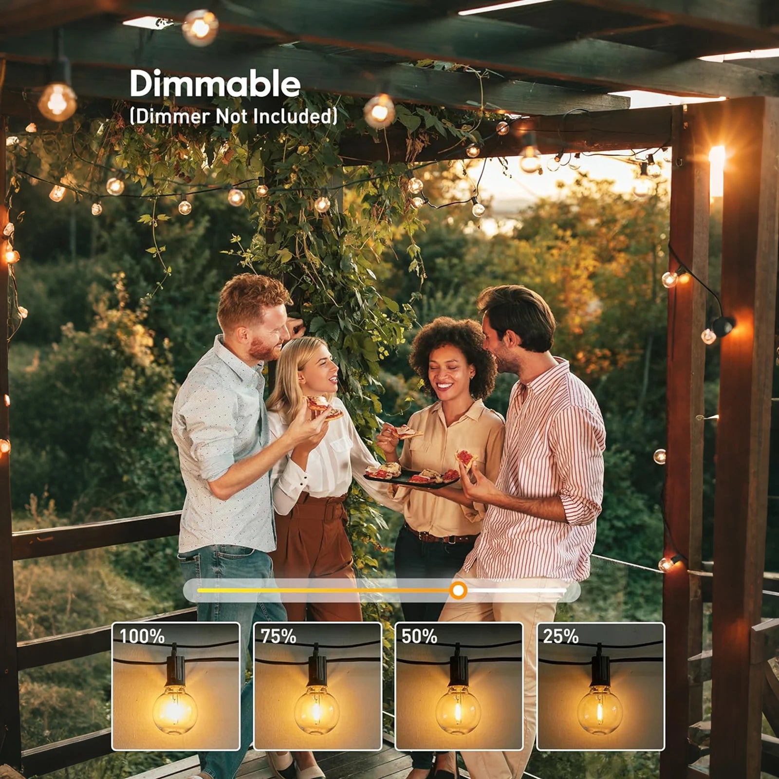 100FT G40 High Voltage String Lights, 50 Warm White 2700K Bulbs, E12 Base, Black Wire with Hooks & Replaceable Wire