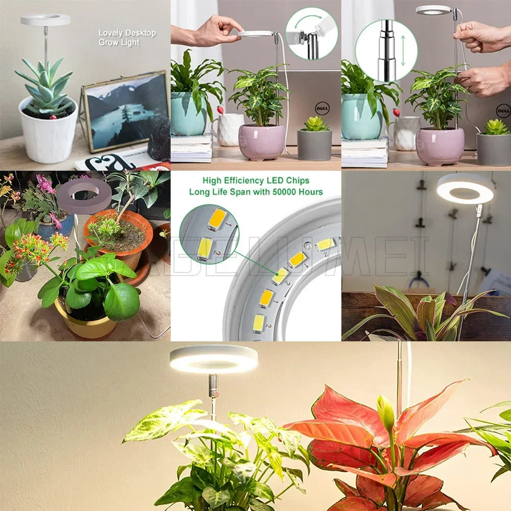5V Angel Ring LED Grow Lights Full Spectrum Plant Growth Lights Height Adjustable Halo Lamp For Indoor Plants Dimmable Phytolamp