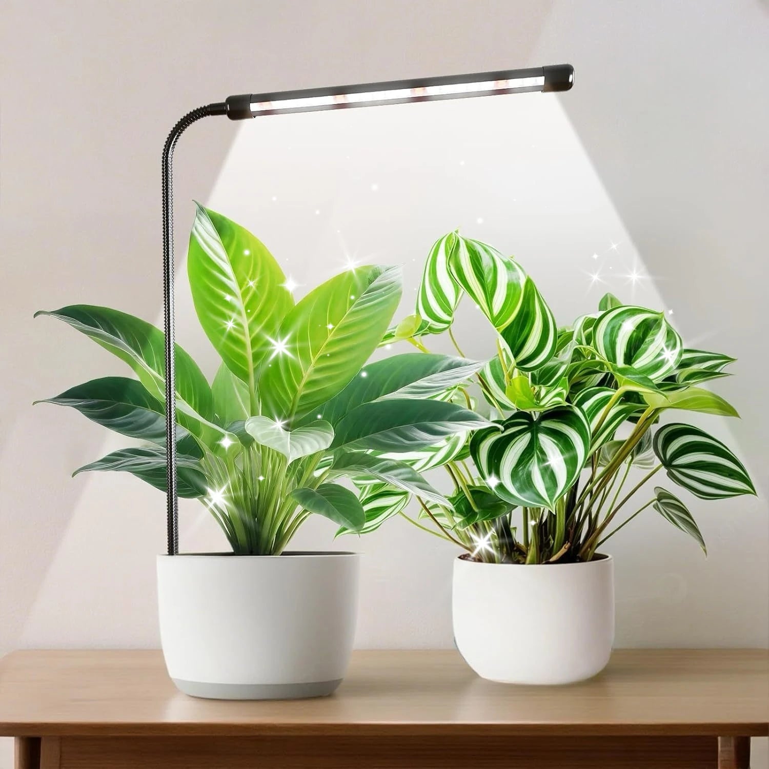 48LEDs Grow Lights for Indoor Plants 6000K Full Spectrum Ground Plug Grow Light with Gooseneck With 5 Level Dimmable & Auto Timer for Small and Indoor Plants