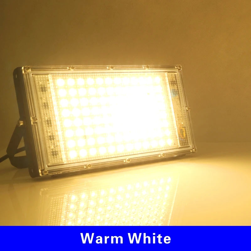 100W Led Flood Light AC 220V 230V 240V Outdoor Floodlight Spotlight IP65 Waterproof LED Street Lamp Landscape Garden Lights