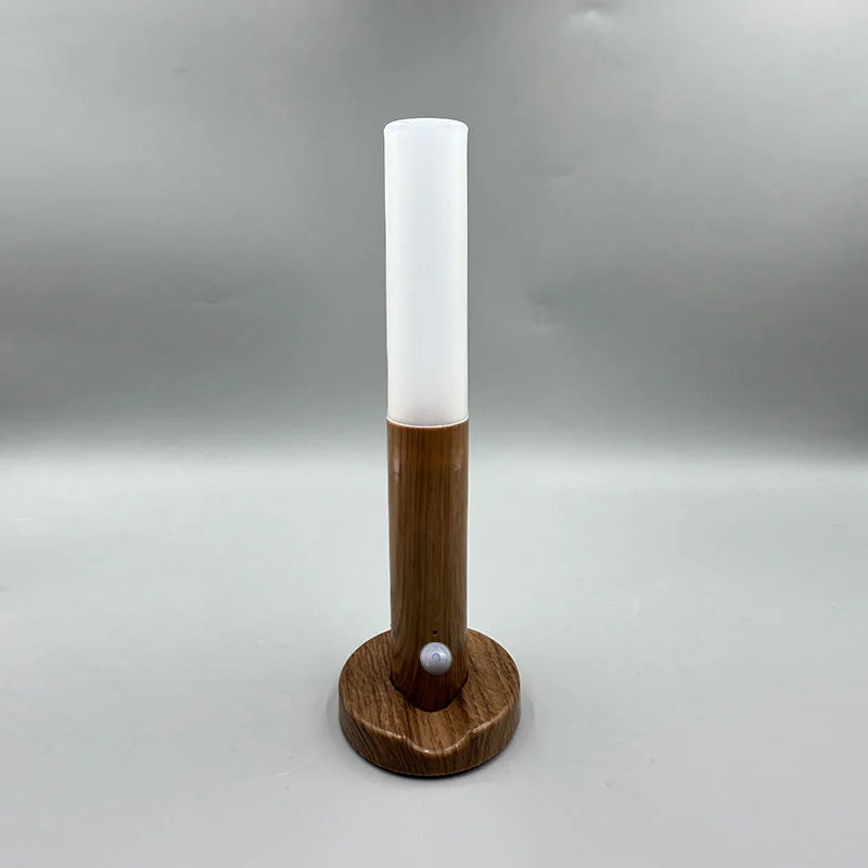 LED Night Light USB Charging Intelligent Human Induction For Bedside Cabinet Home Wardrobe Lighting Motion Sensor Light Led Lamp