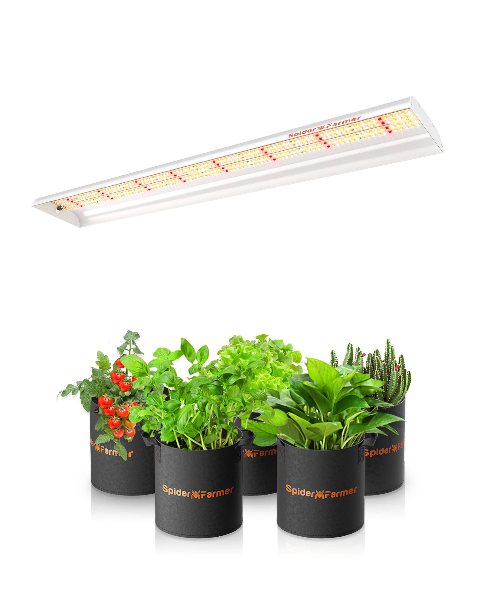 Spider Farmer SF600 74W LED Light Strip Sunlike Full Spectrum For Seedling Veg Bloom Flower Plants Indoor Hydroponics