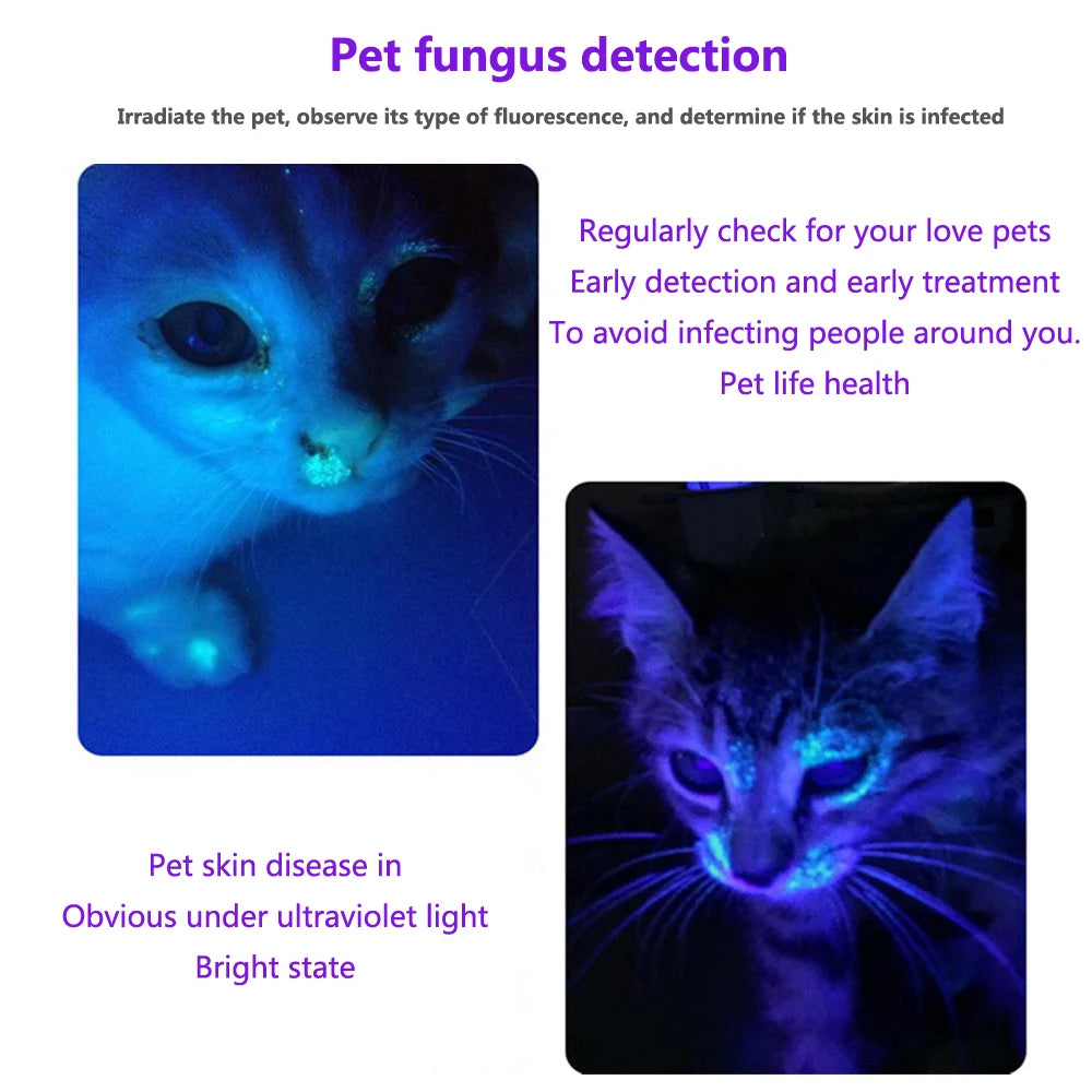 Mini 3W 365nm UV Flashlight Charging Ultraviolet Blacklight Torch Manicures CatDog Urine Tinea Money Ore Scorpion Detection lamp