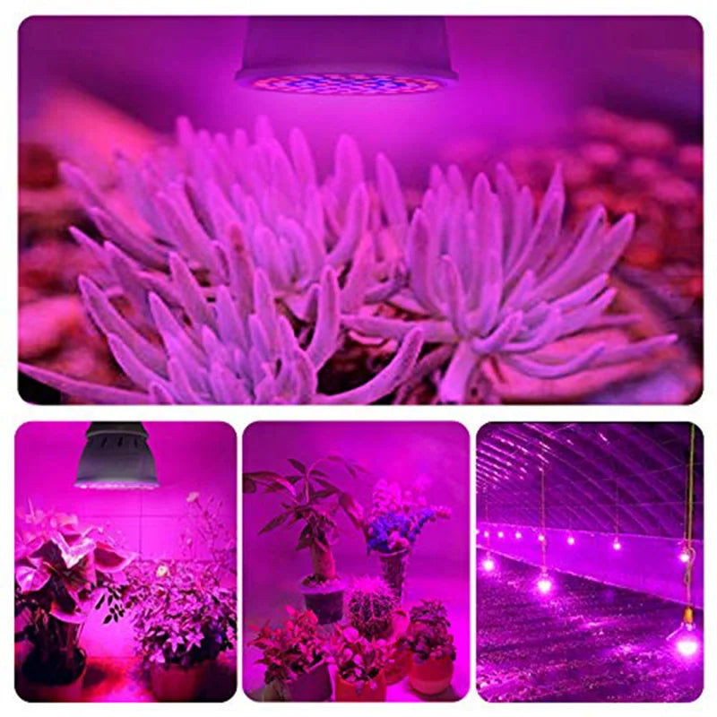 LED Grow Light Bulb E27 220V Full Spectrum 60/80LED Plant Lamp for Indoor Garden Seedling Greenhouse Hydroponics Grow Tent